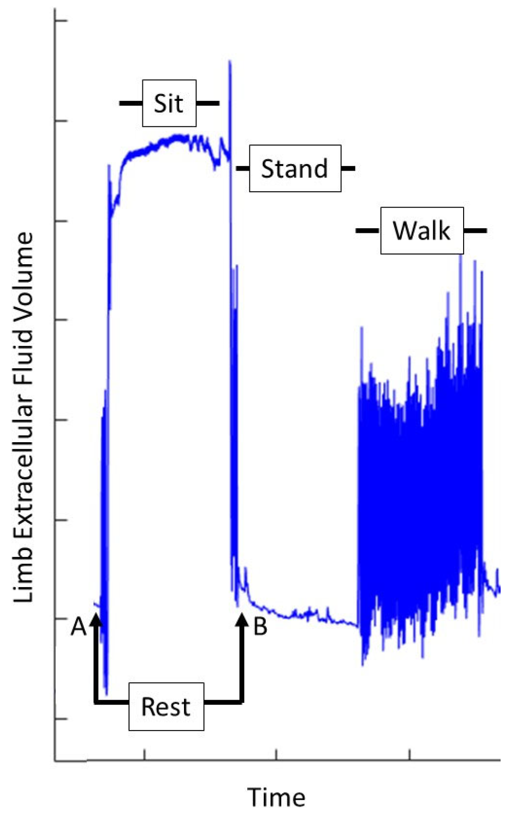 Prosthesis 07 00053 g004