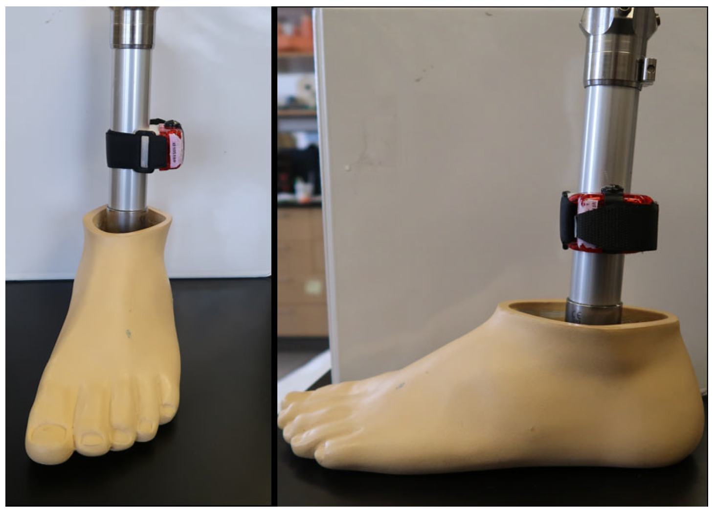 Prosthesis 07 00053 g0a5