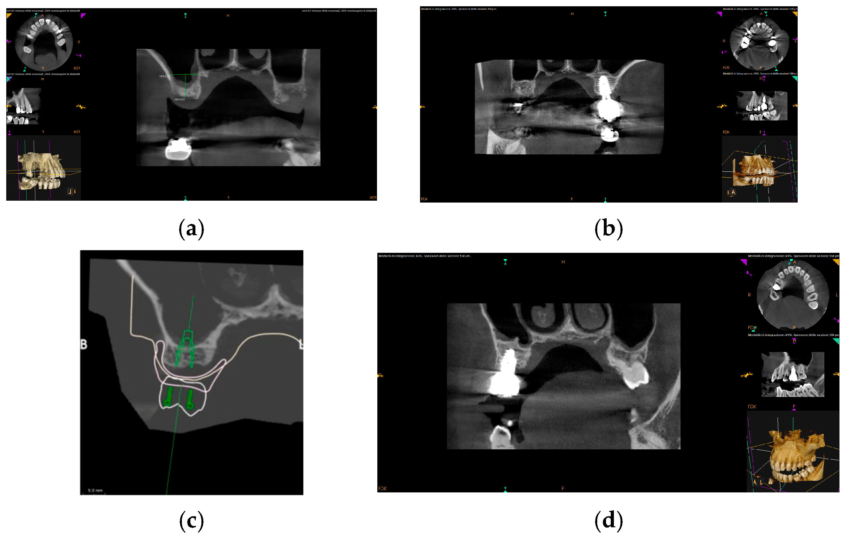 Prosthesis 07 00058 g001
