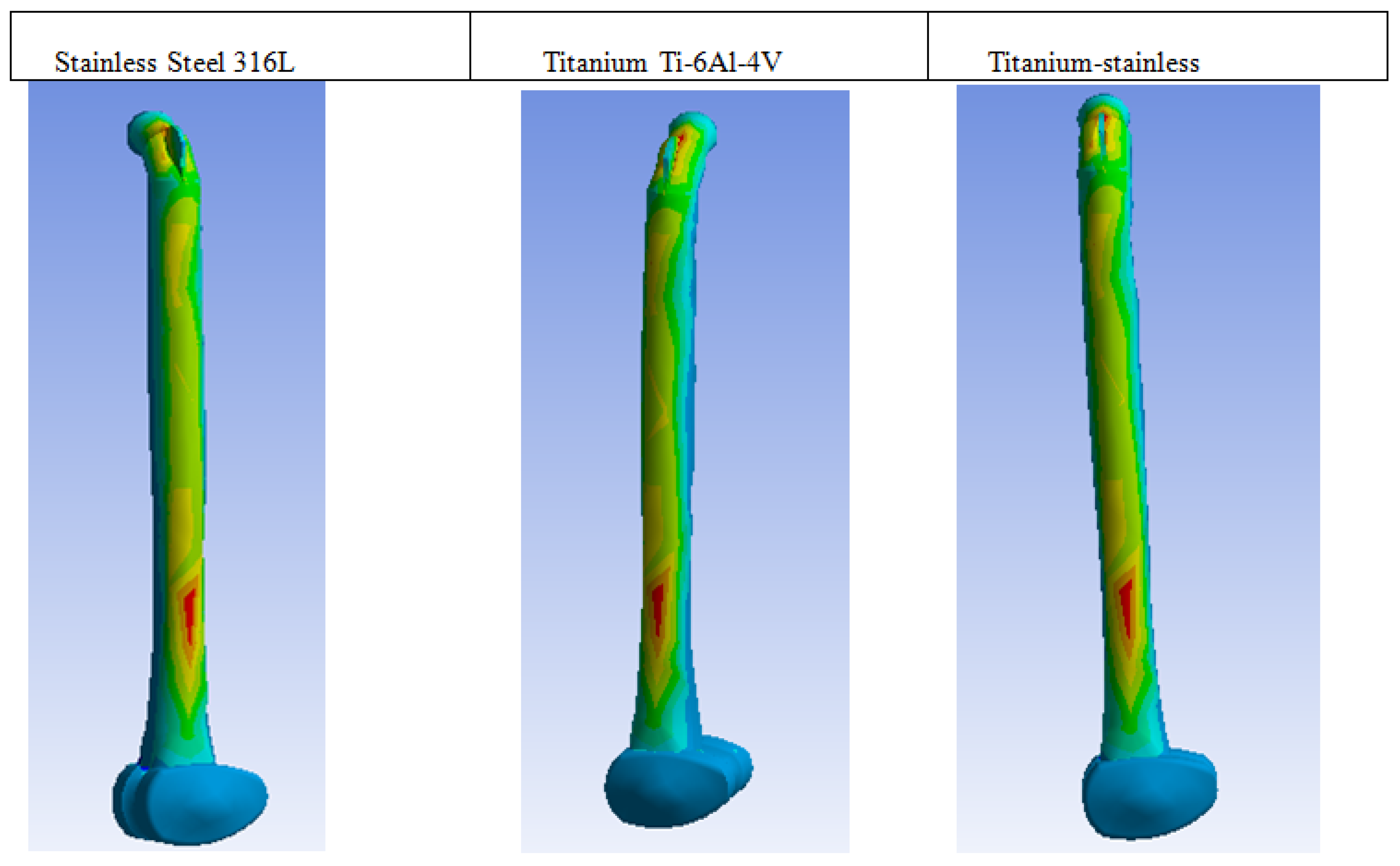 Prosthesis 07 00064 g005