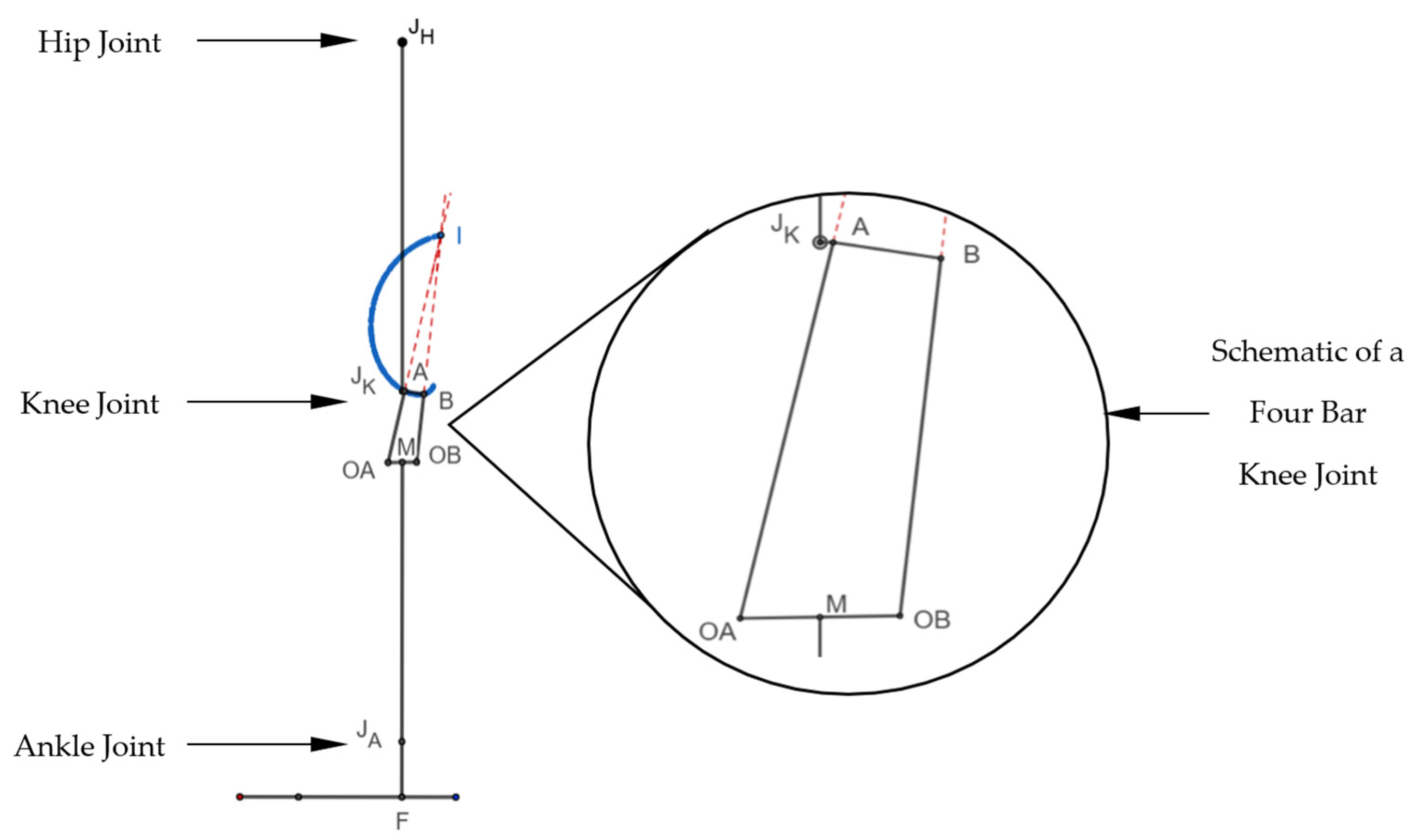 Prosthesis 07 00072 g003