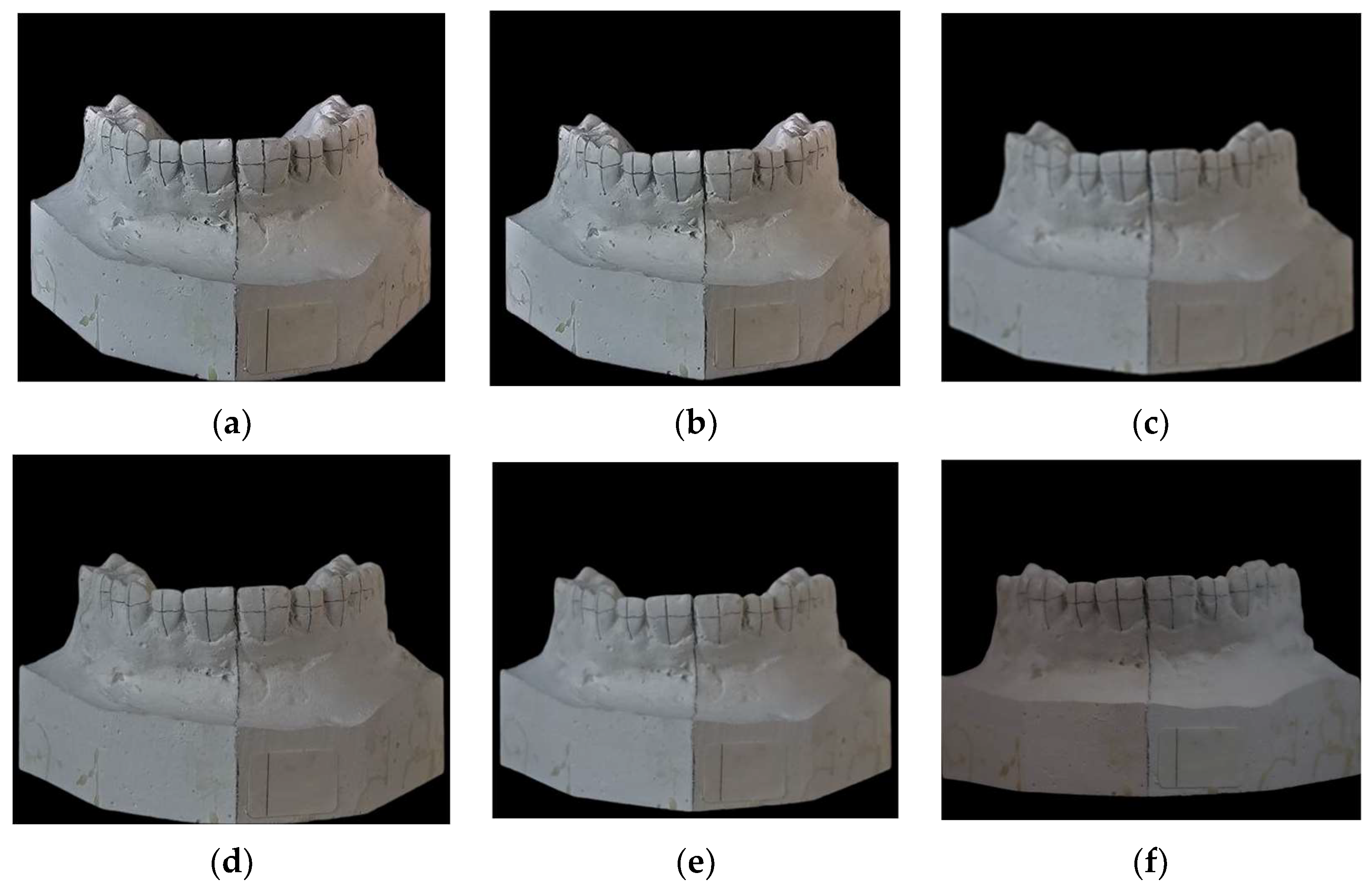 Prosthesis 07 00077 g001