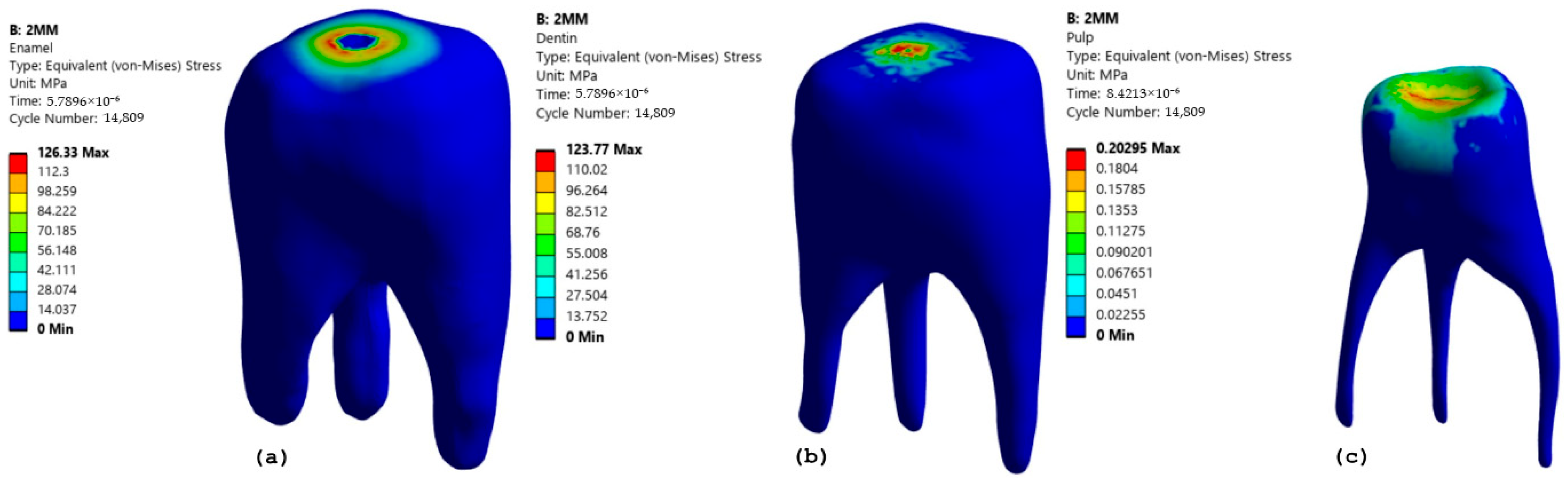 Prosthesis 07 00084 g009