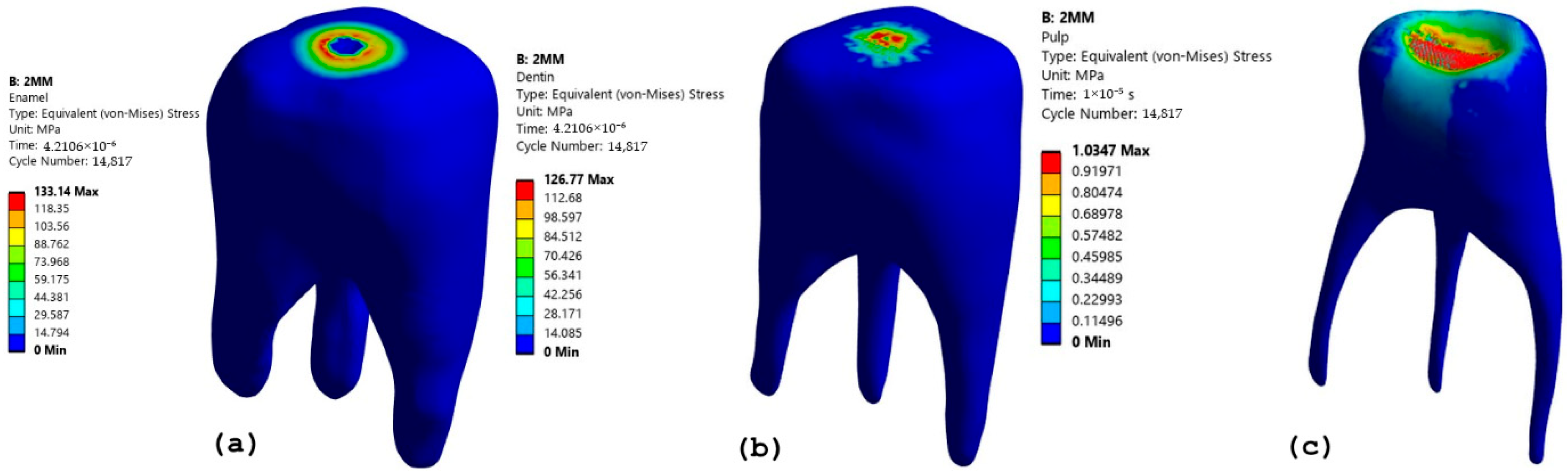 Prosthesis 07 00084 g010