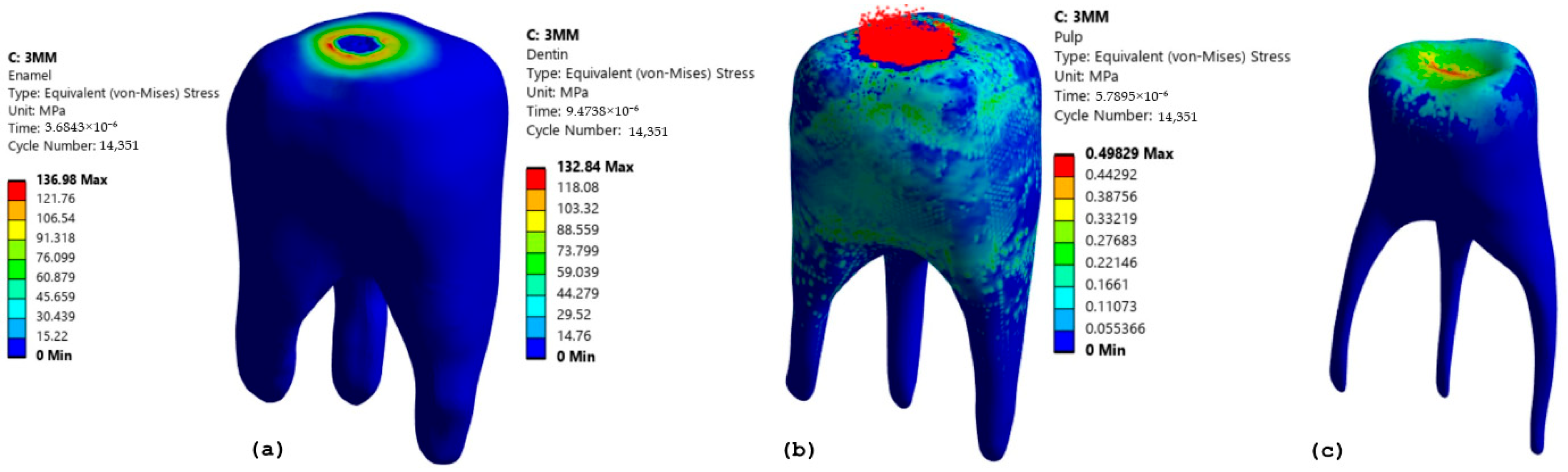 Prosthesis 07 00084 g011