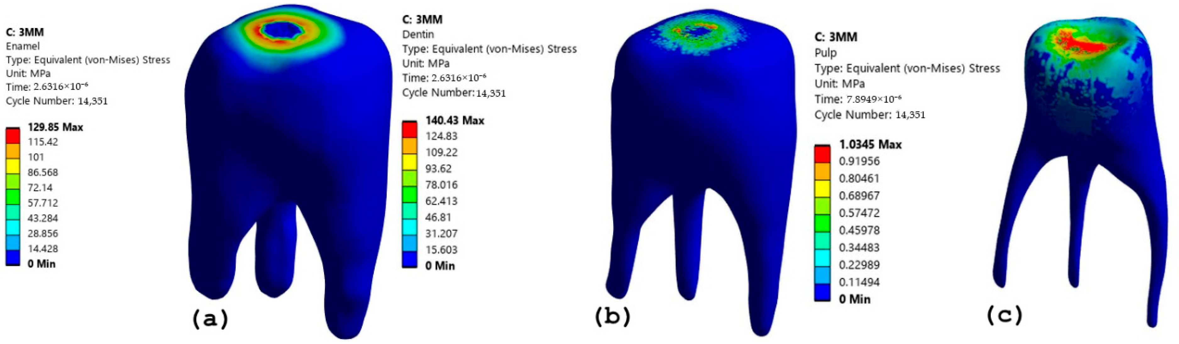 Prosthesis 07 00084 g012