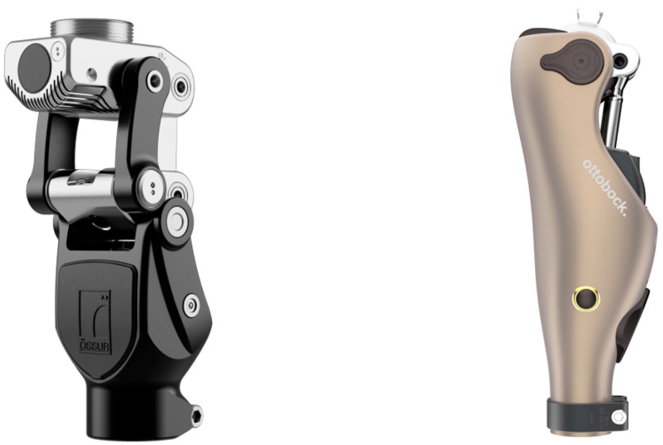 Prosthesis 07 00089 g001