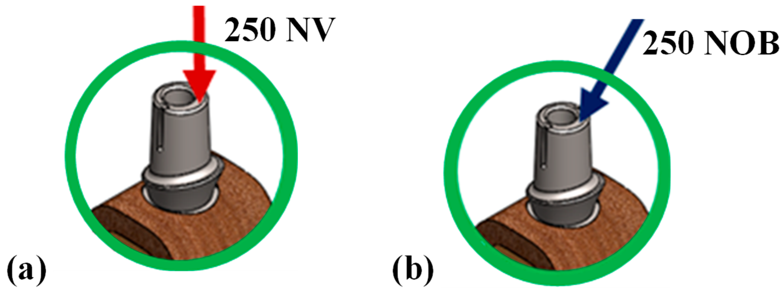 Prosthesis 07 00093 g002 Prosthesis 07 00093 g002