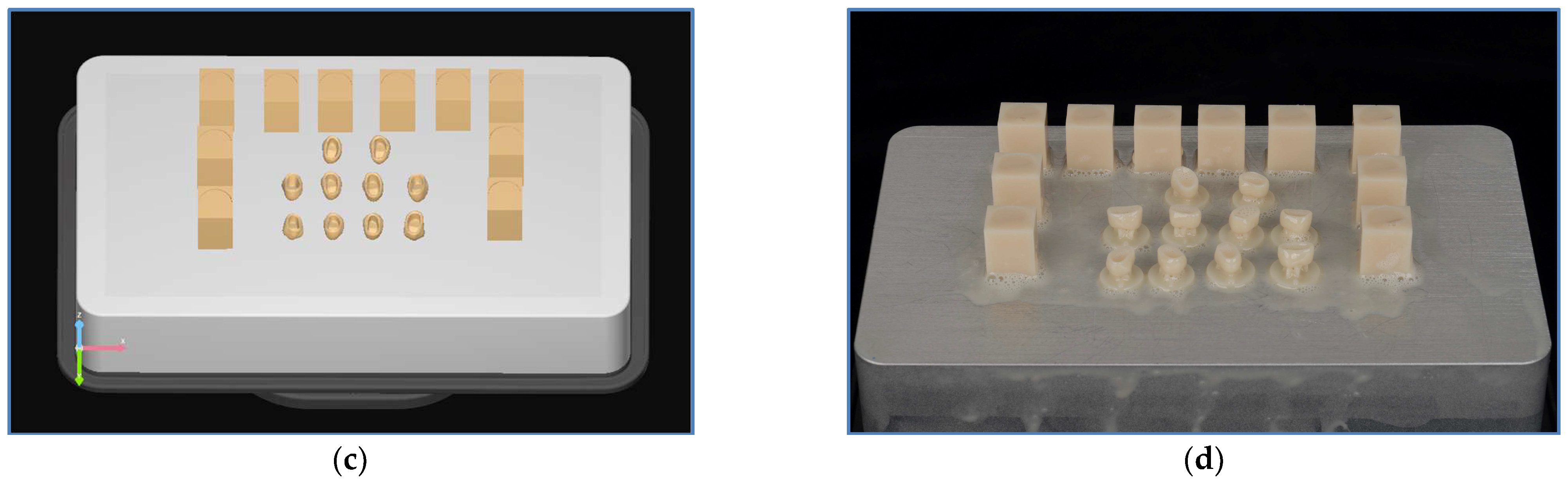 Prosthesis 07 00107 g003b Prosthesis 07 00107 g003b