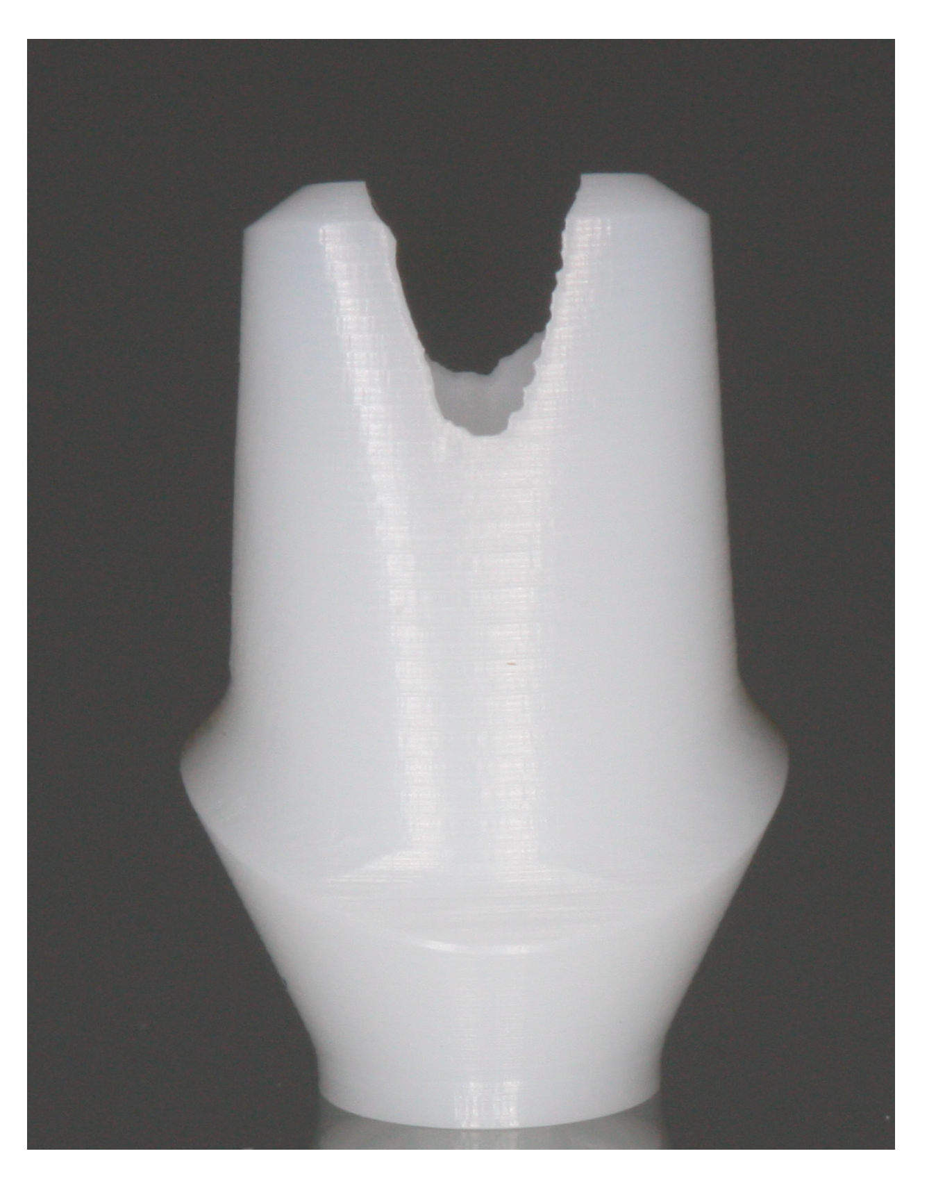 Prosthesis 07 00113 g001