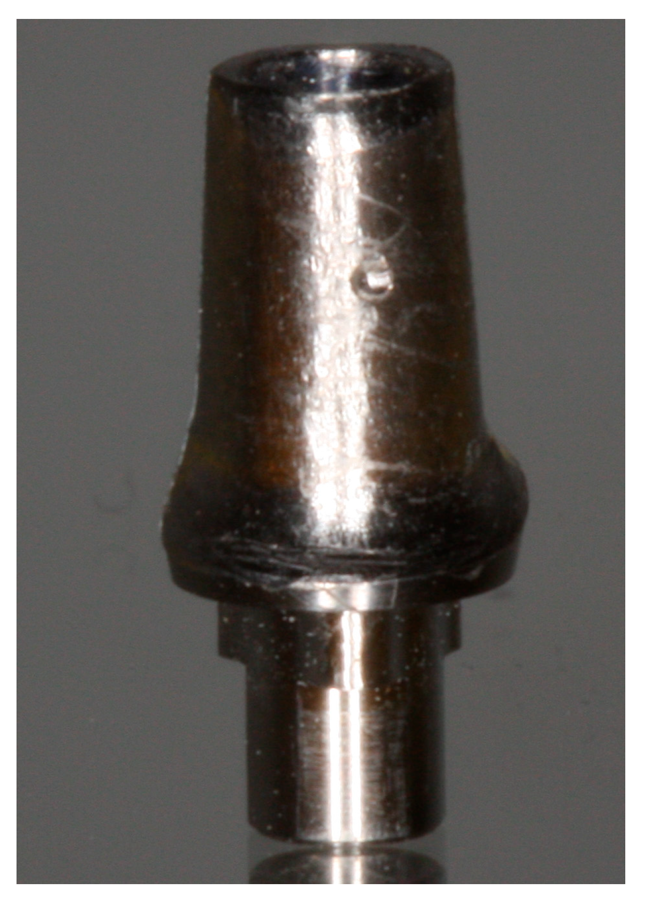 Prosthesis 07 00113 g002