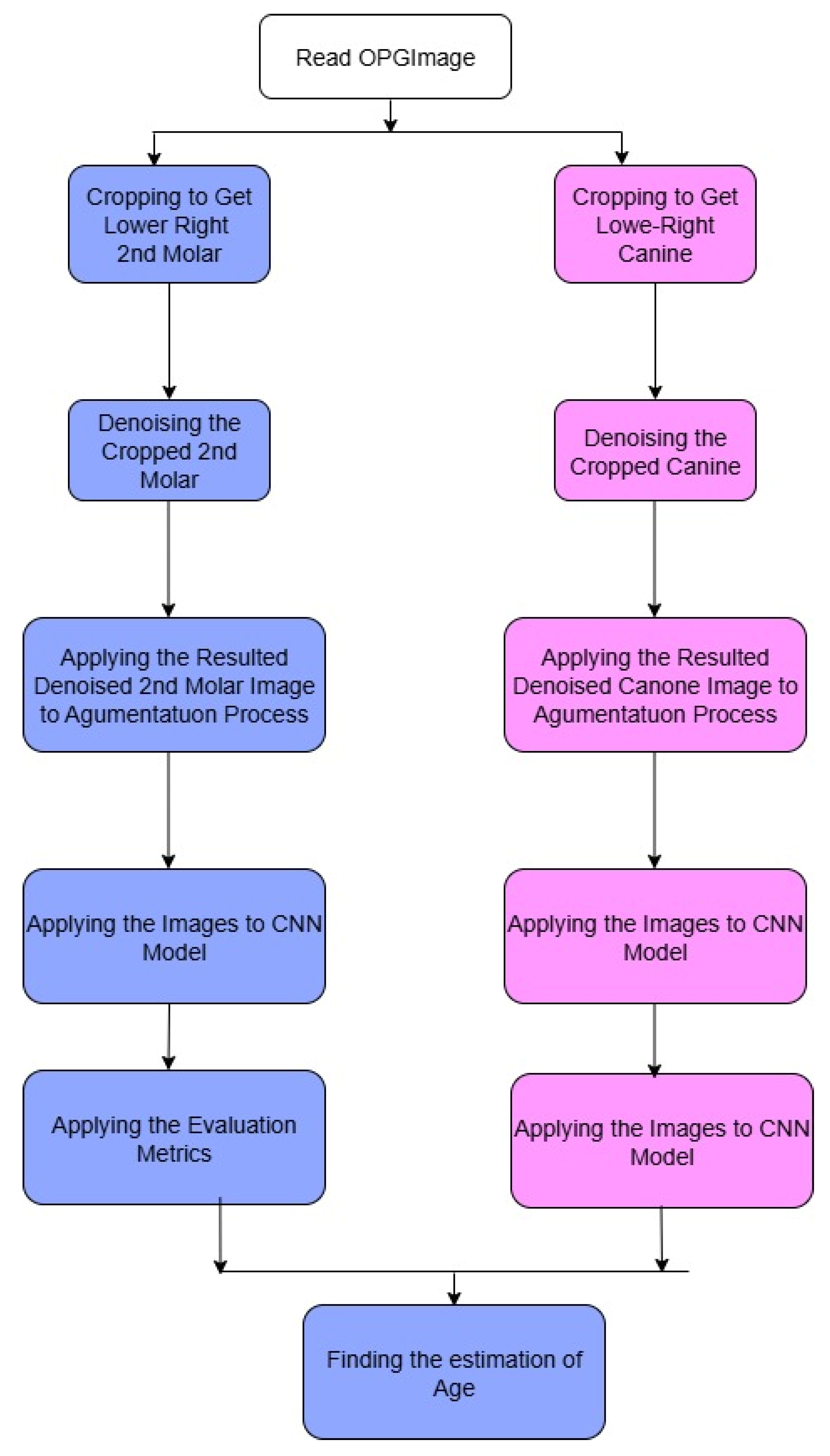 Prosthesis 07 00116 g004 Prosthesis 07 00116 g004