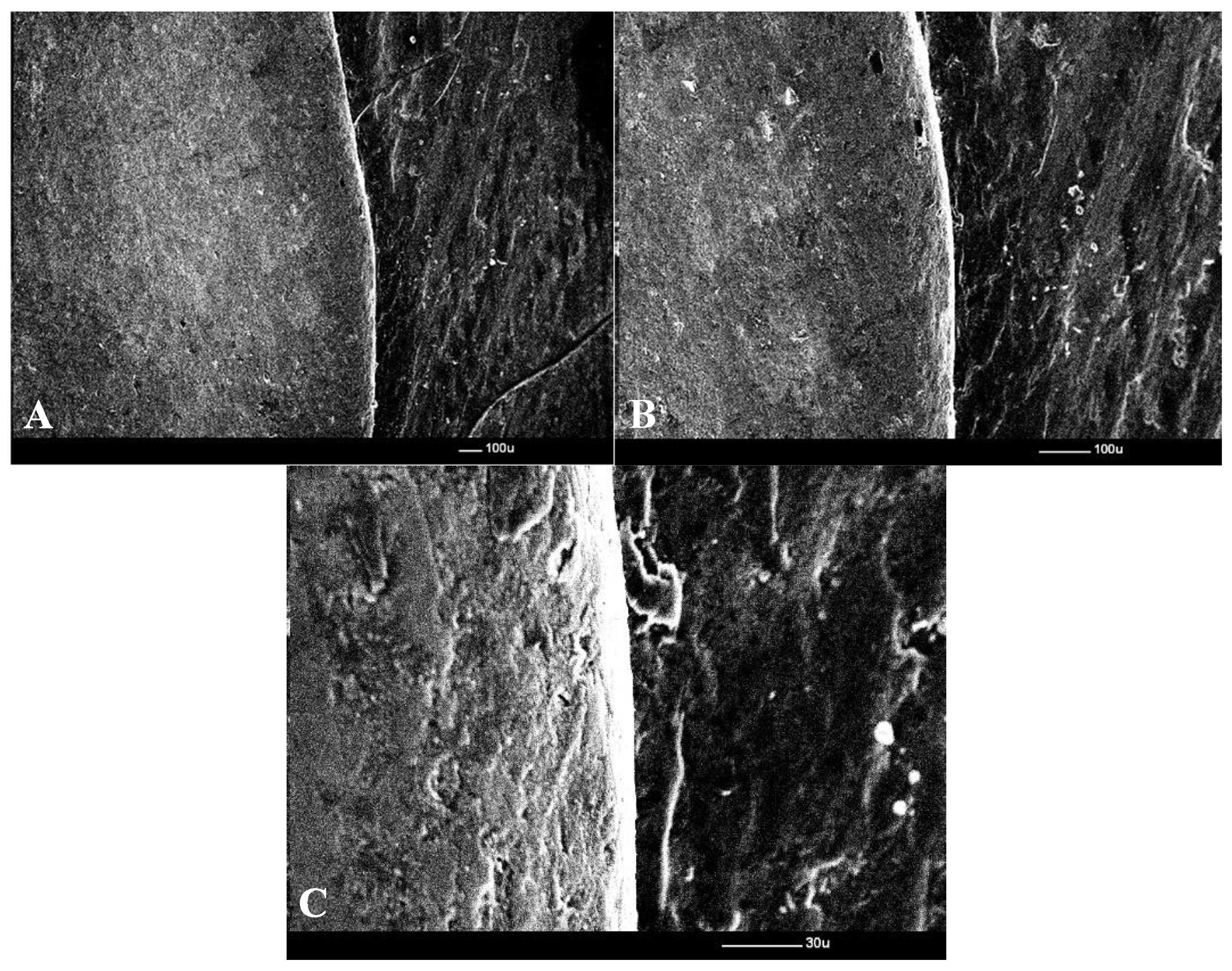 Prosthesis 07 00147 g007 Prosthesis 07 00147 g007