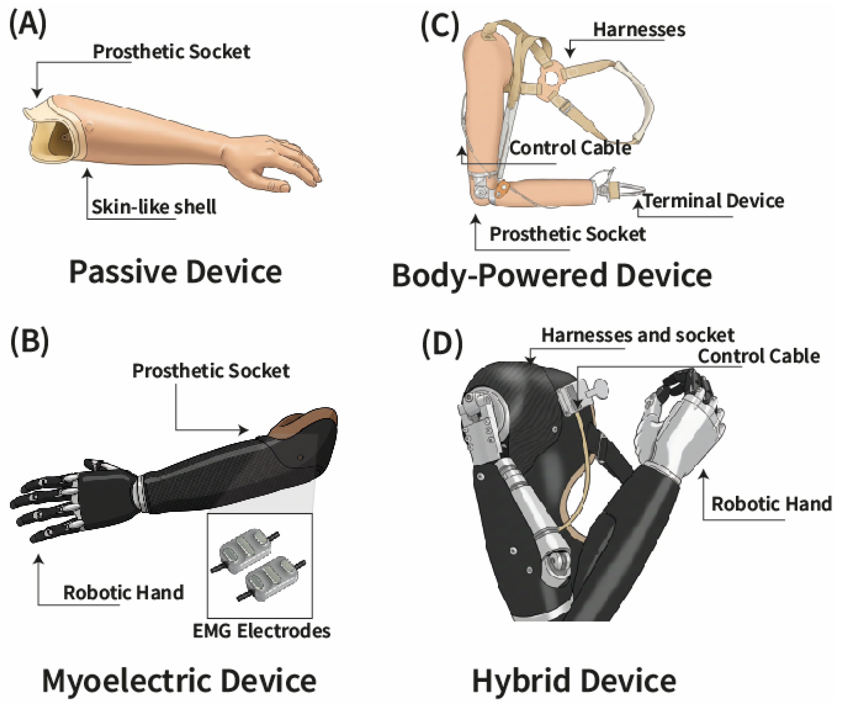 Prosthesis 07 00167 g001