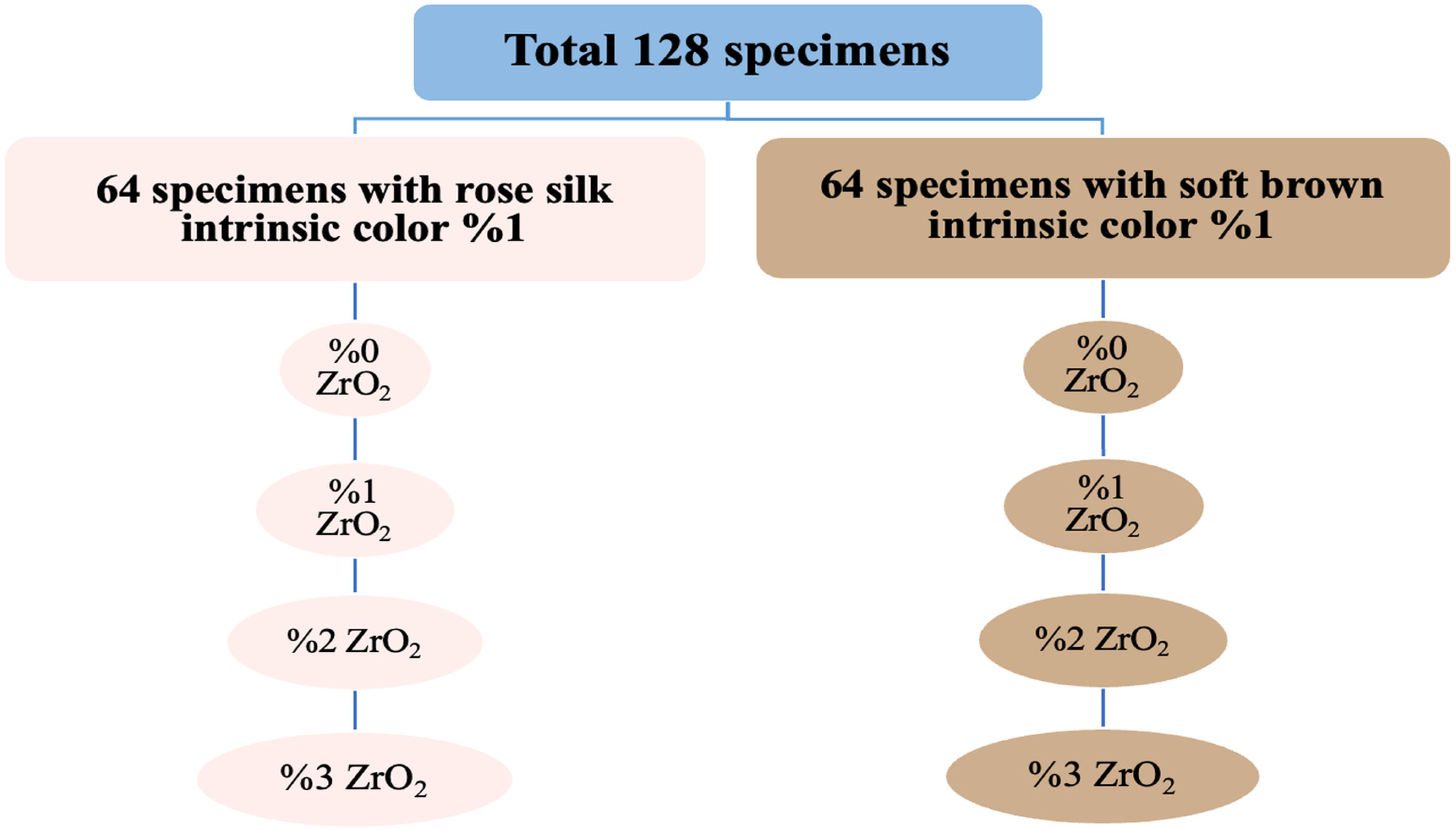 Prosthesis 08 00003 g001