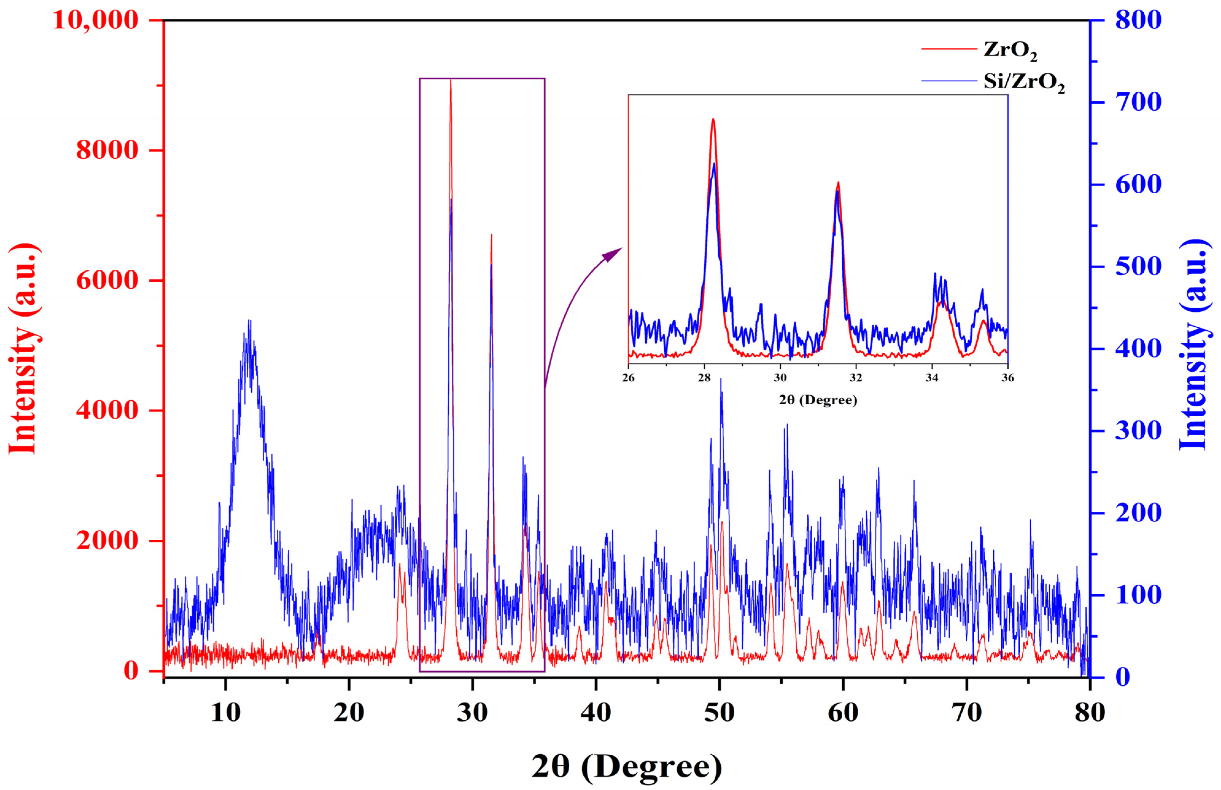 Prosthesis 08 00003 g004
