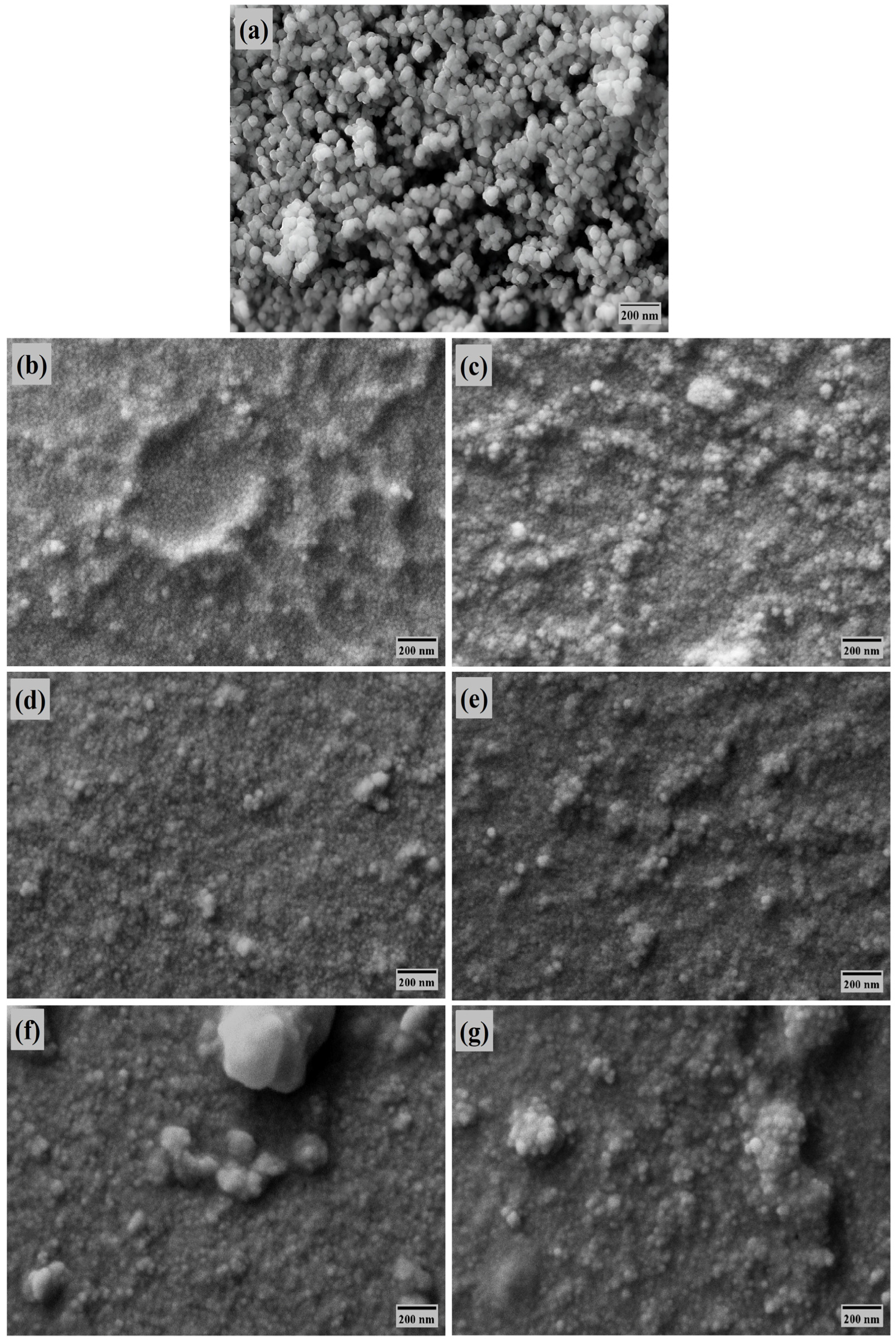 Prosthesis 08 00003 g006