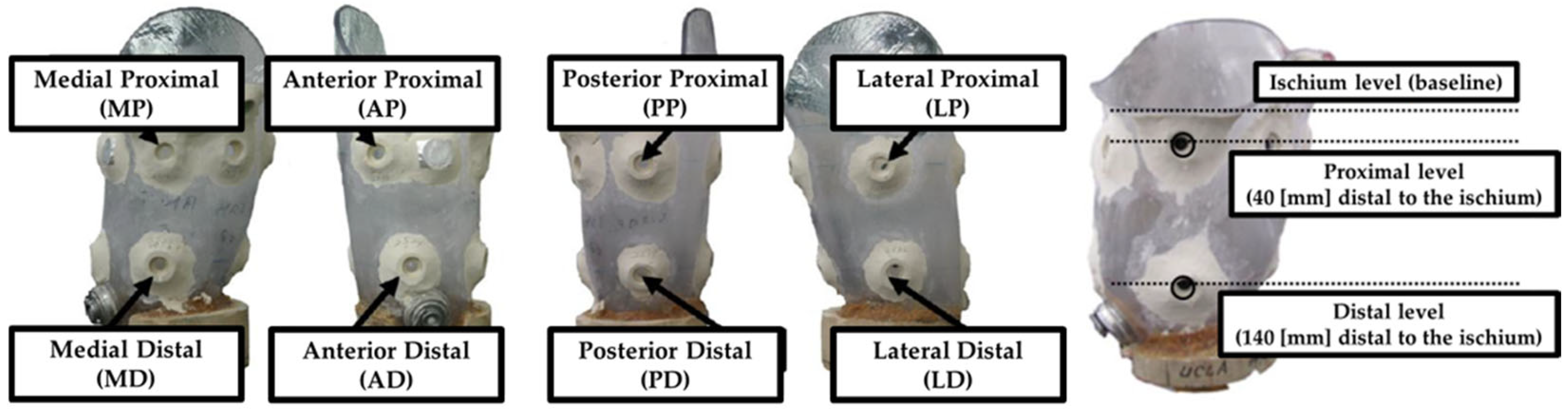 Prosthesis 08 00016 g002 Prosthesis 08 00016 g002