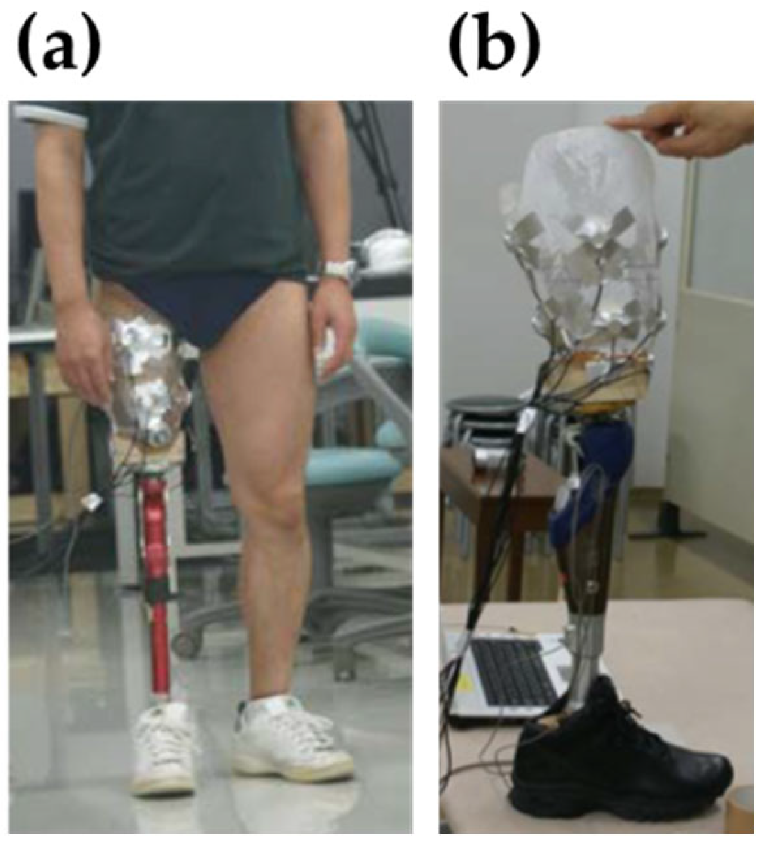 Prosthesis 08 00016 g003 Prosthesis 08 00016 g003