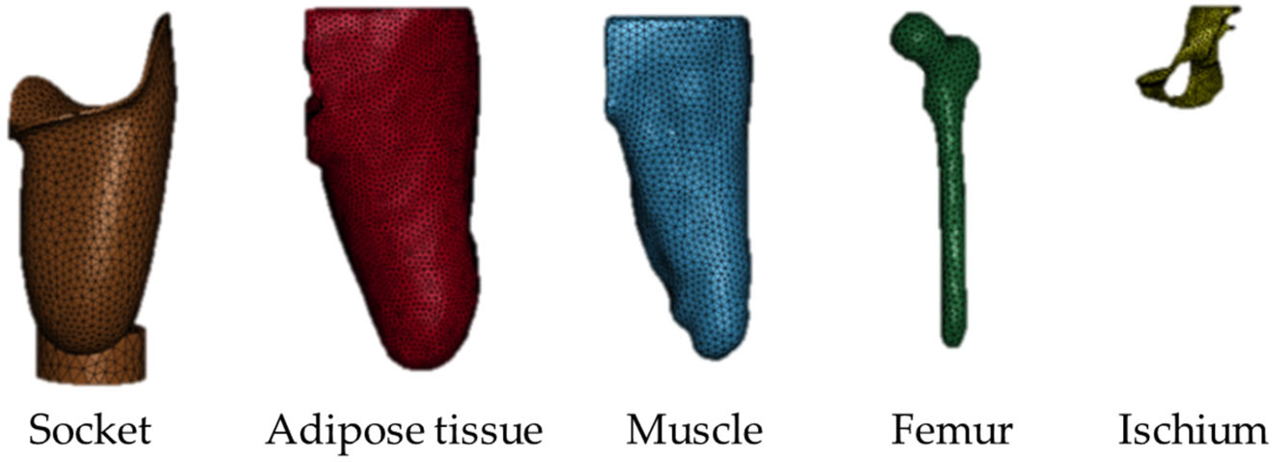 Prosthesis 08 00016 g007 Prosthesis 08 00016 g007