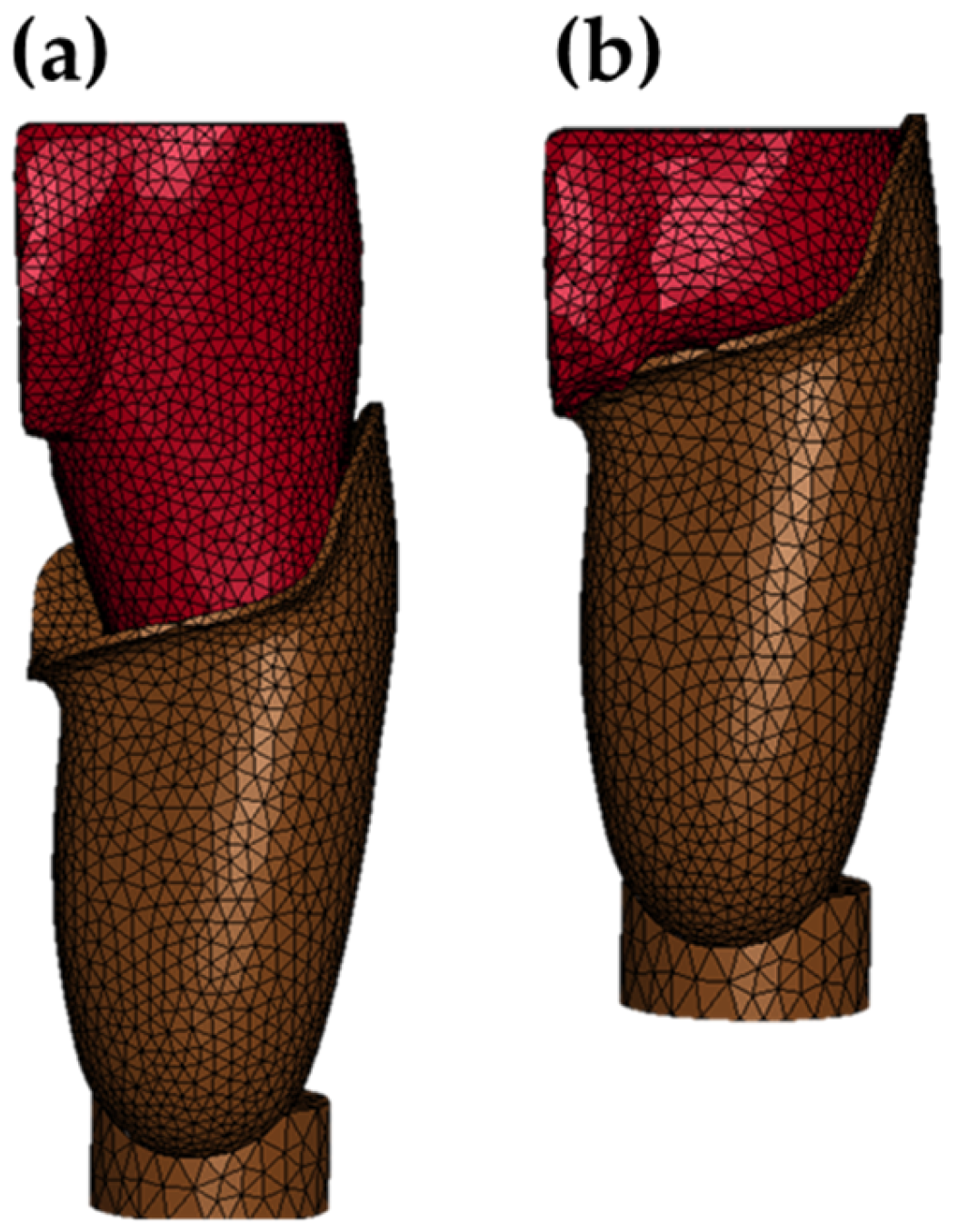Prosthesis 08 00016 g008 Prosthesis 08 00016 g008