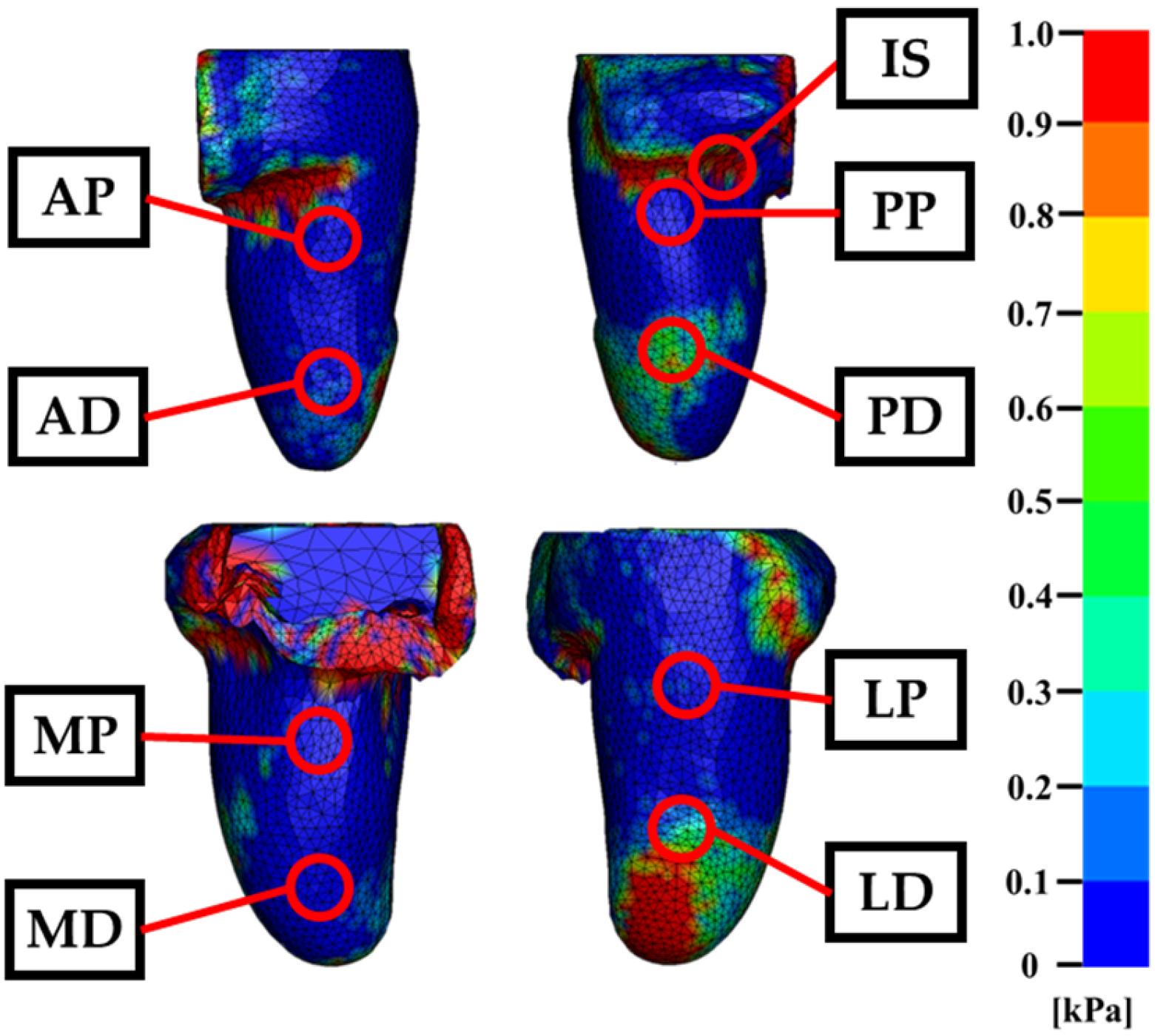 Prosthesis 08 00016 g009 Prosthesis 08 00016 g009