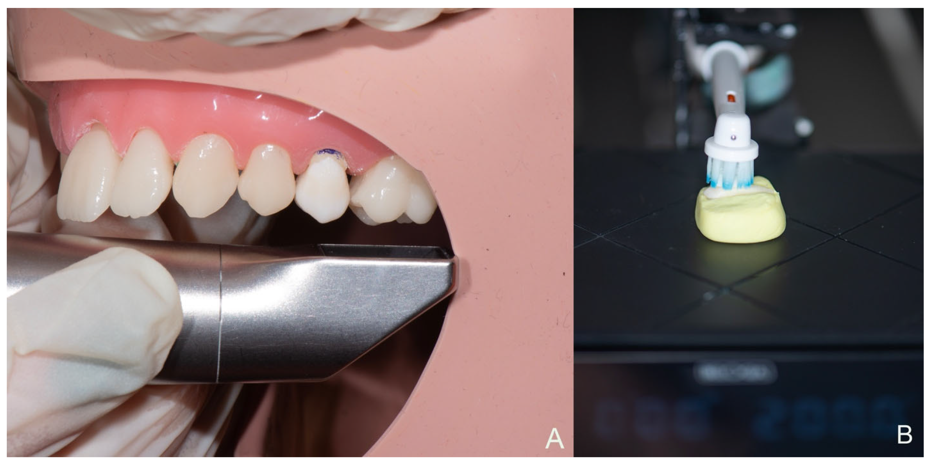Prosthesis 08 00049 g001