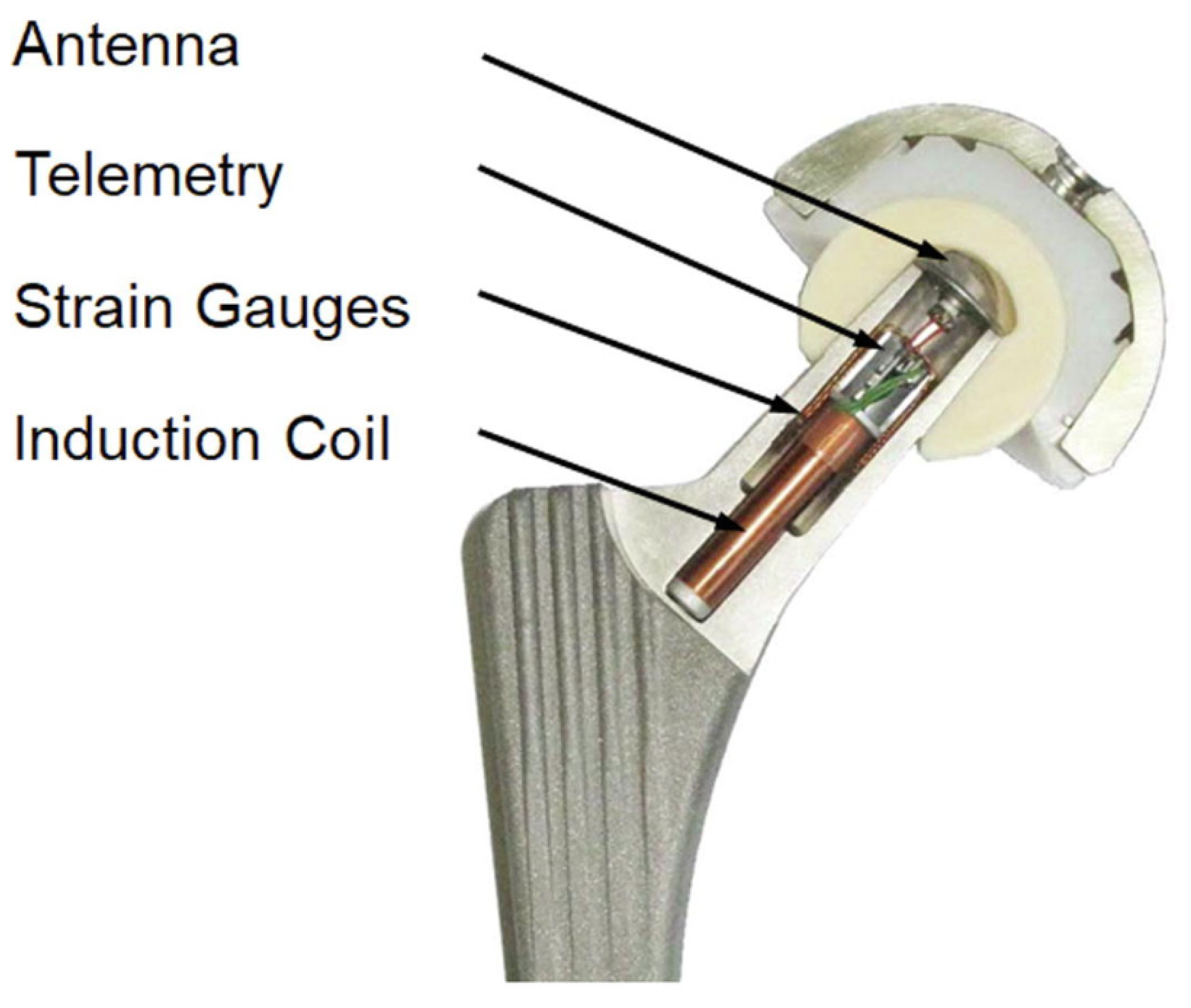 Prosthesis 08 00061 g003 Prosthesis 08 00061 g003