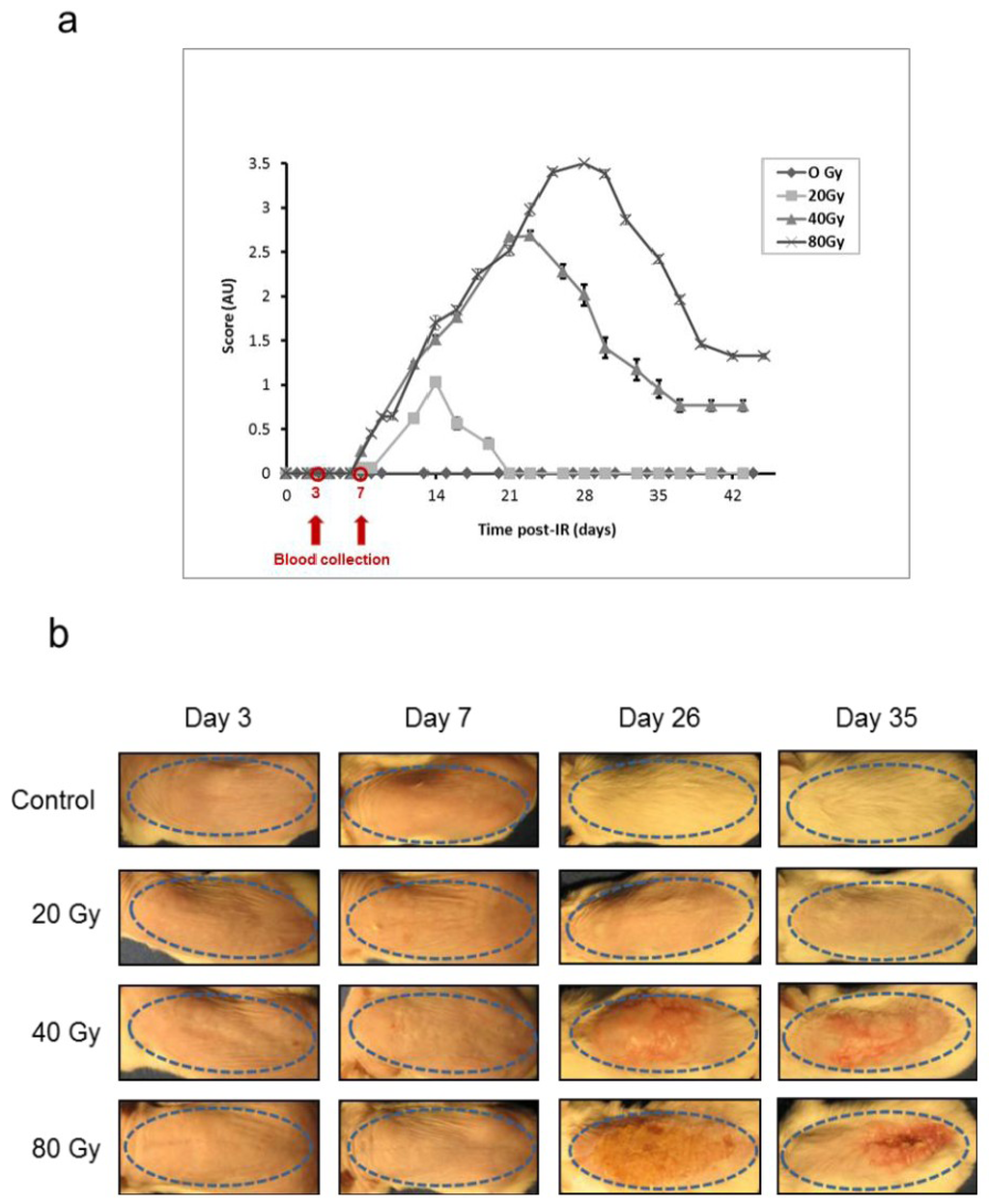Proteomes 01 00040 g002 1024