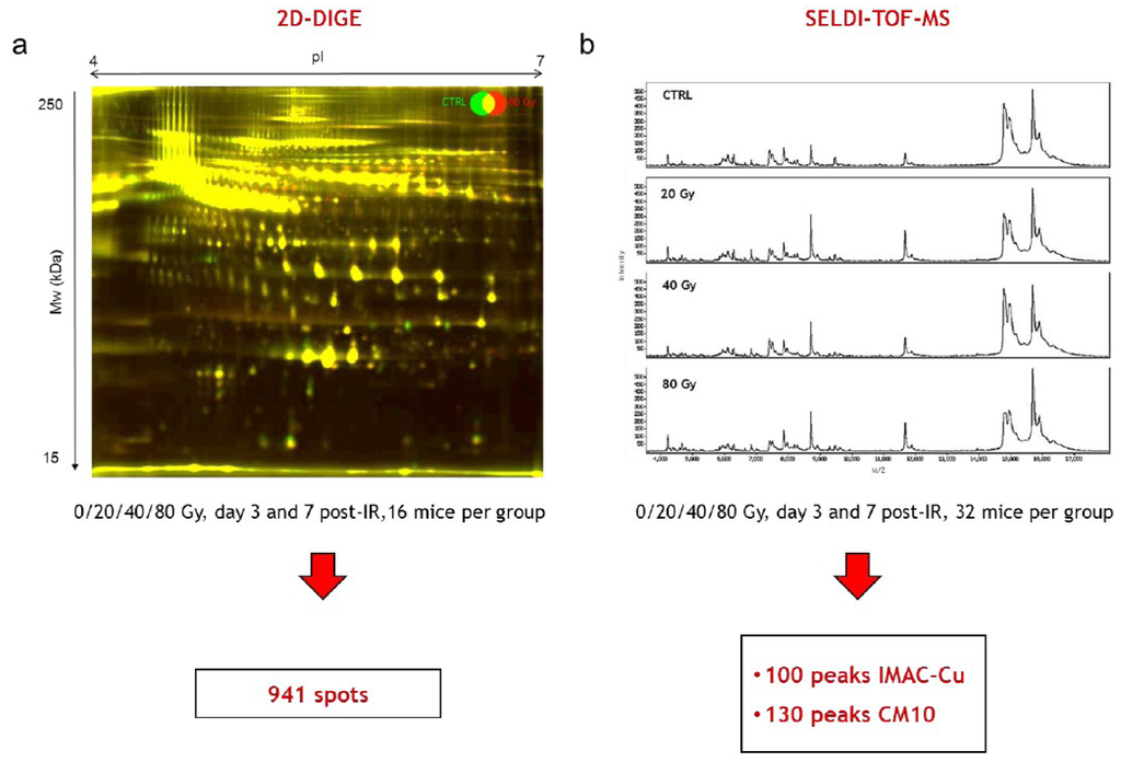 Proteomes 01 00040 g003 1024
