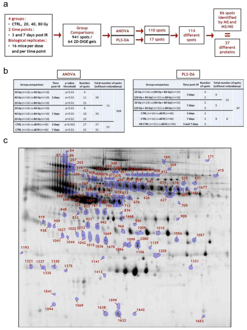 Proteomes 01 00040 g005 1024