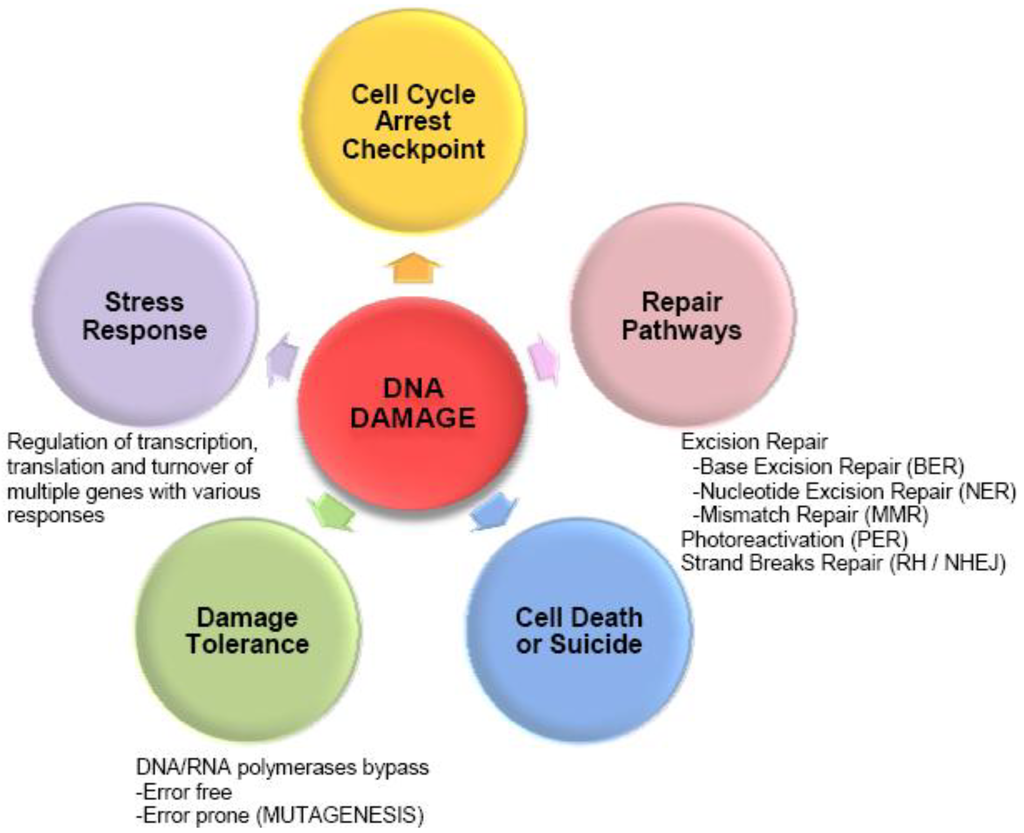 Proteomes 01 00070 g001 1024