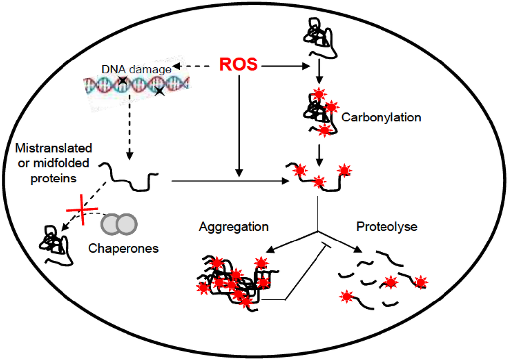 Proteomes 01 00070 g002 1024