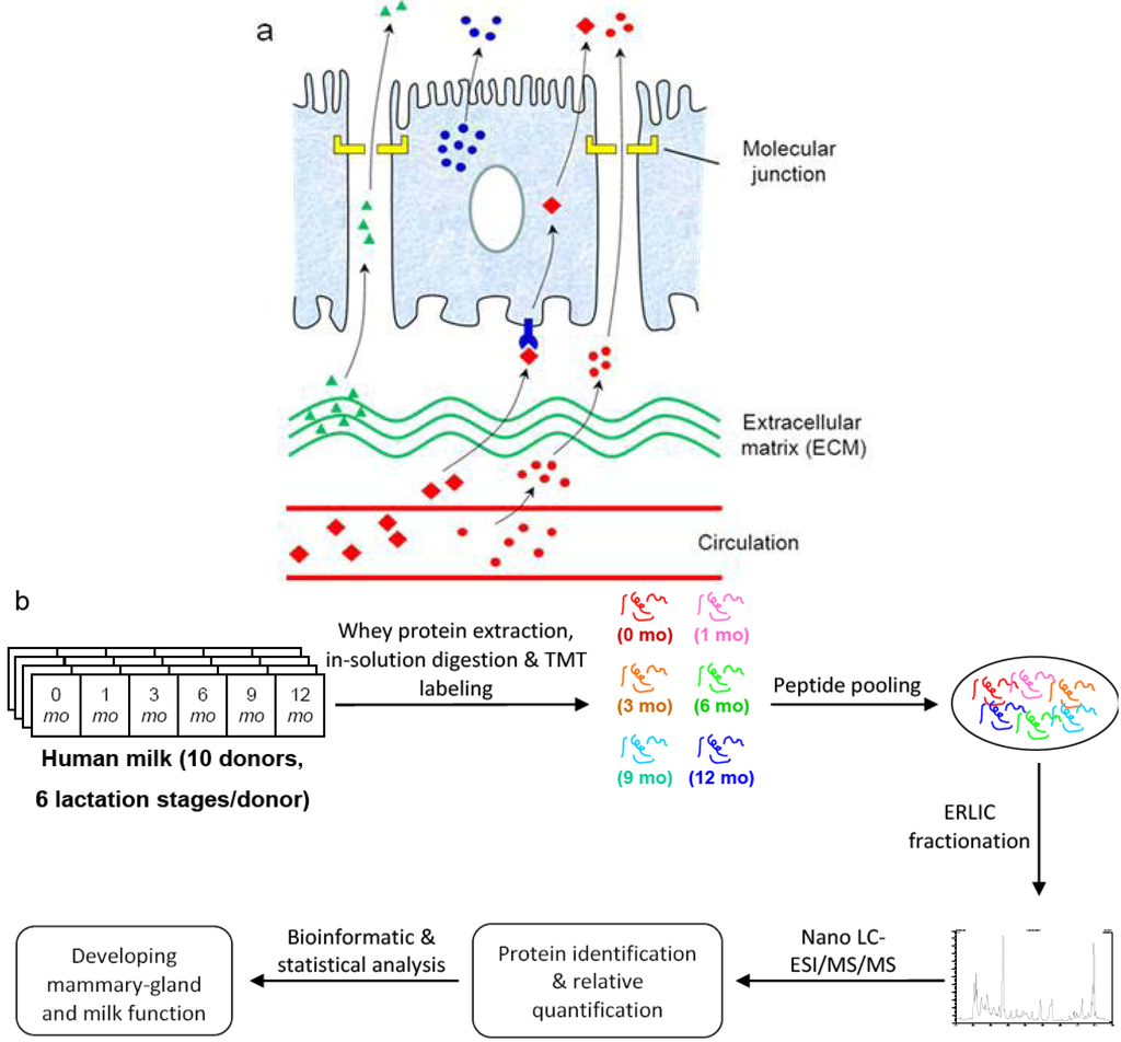 Proteomes 01 00128 g001 1024