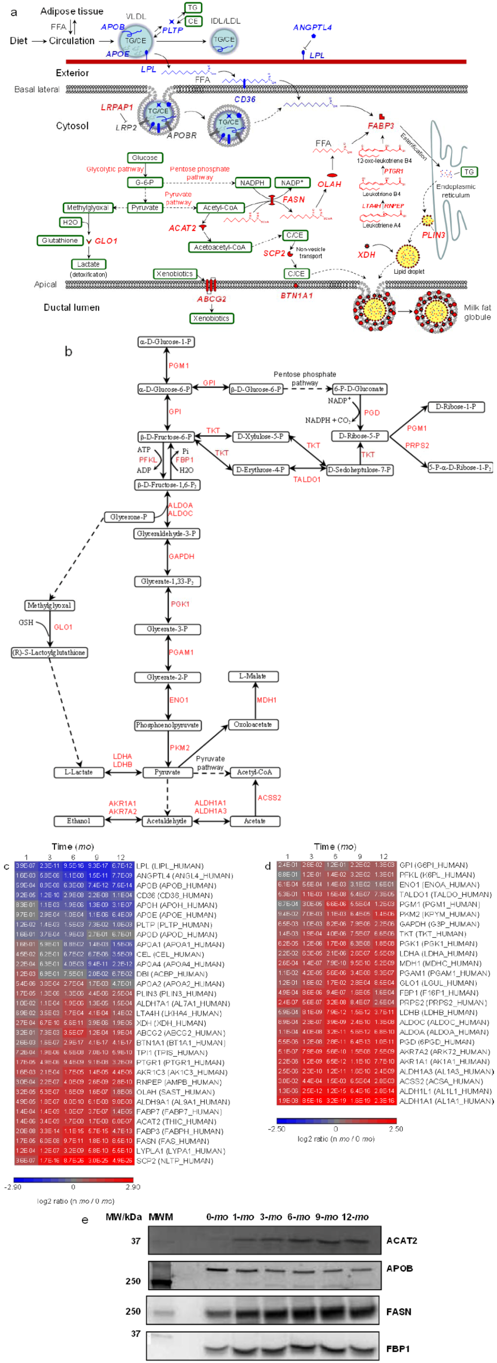 Proteomes 01 00128 g003 1024