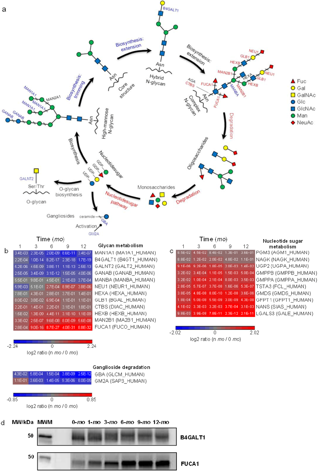 Proteomes 01 00128 g004 1024