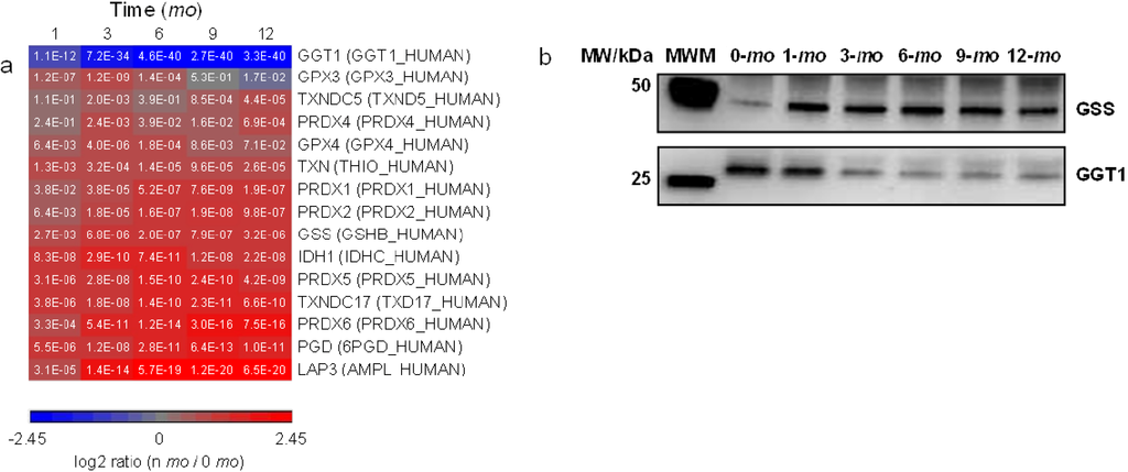 Proteomes 01 00128 g005 1024