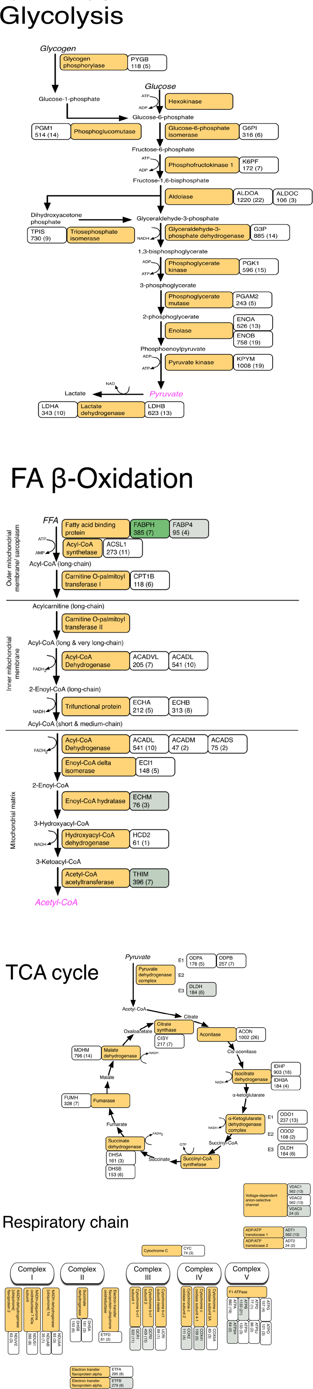 Proteomes 01 00290 g003 1024