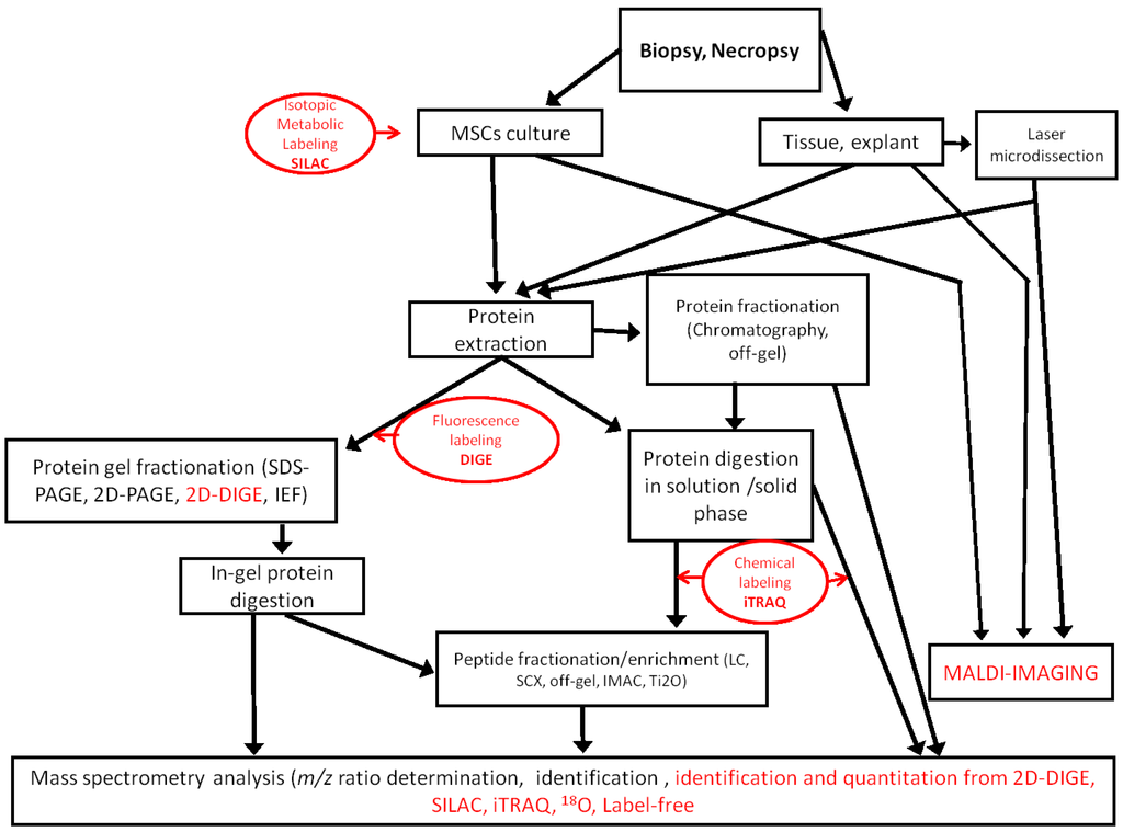 Proteomes 02 00053 g001 1024