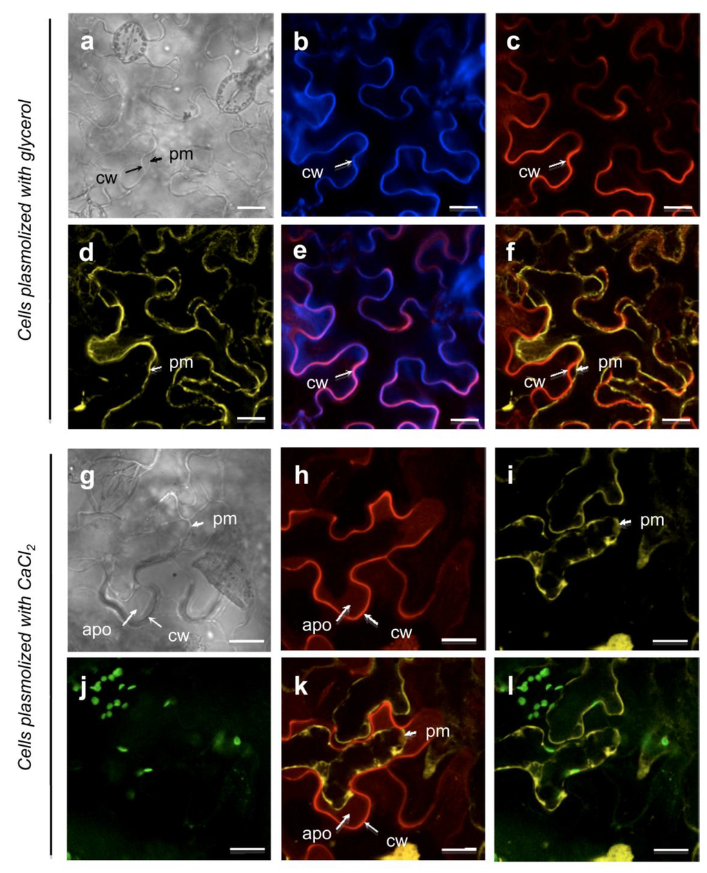 Proteomes 02 00224 g005 1024