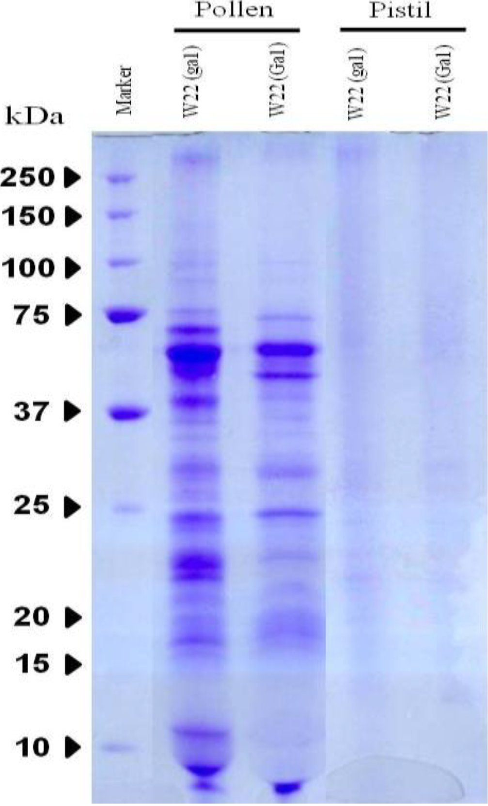 Proteomes 02 00258 g001