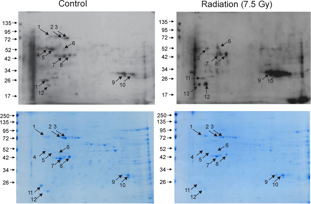 Proteomes 02 00291 g001 1024