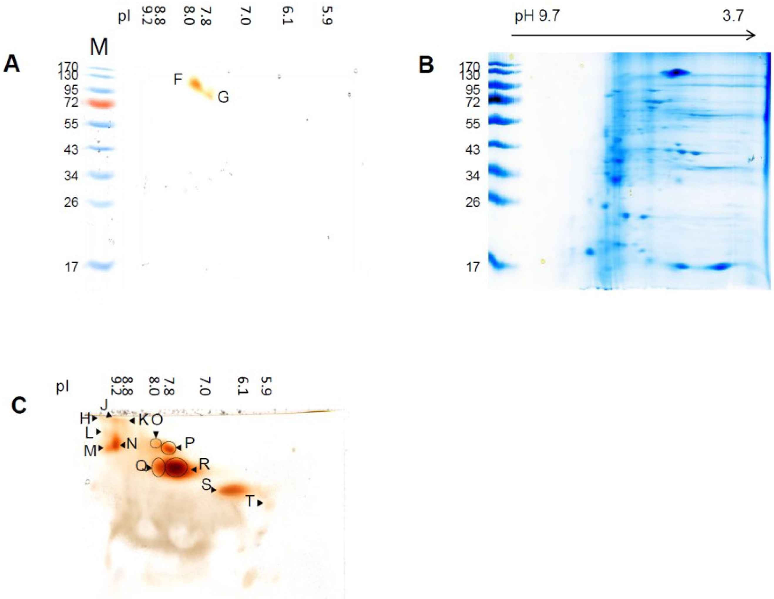 Proteomes 02 00303 g003