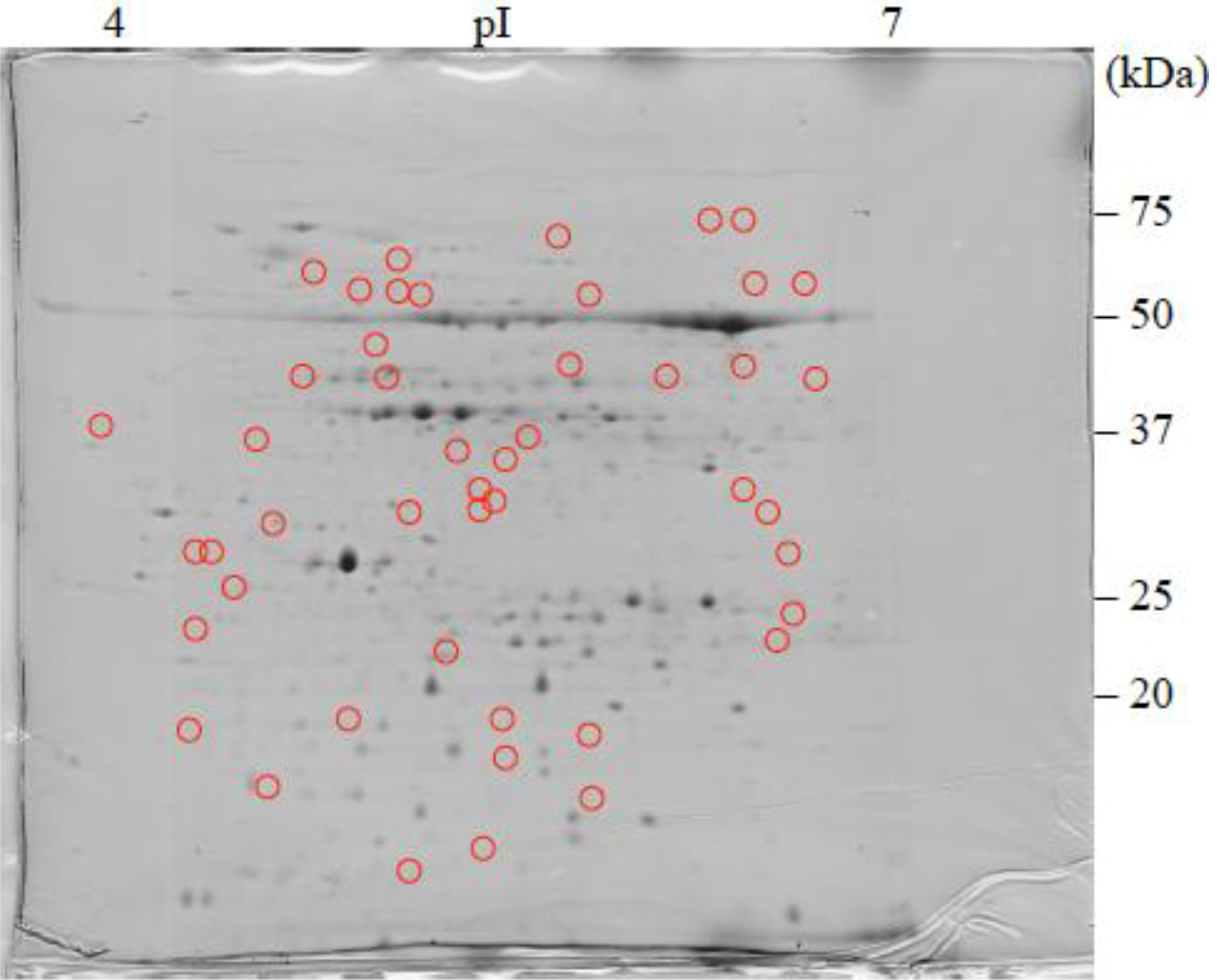 Proteomes 02 00323 g001