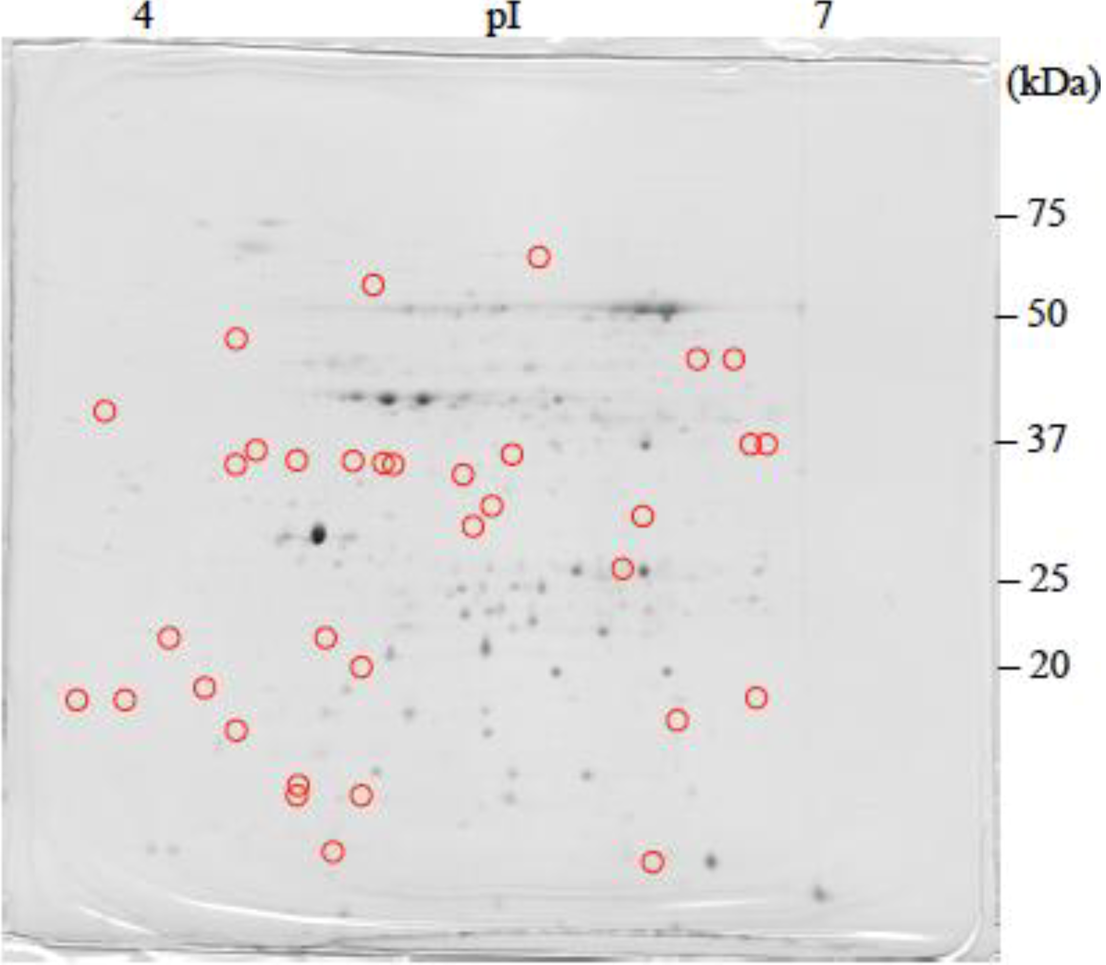 Proteomes 02 00323 g003