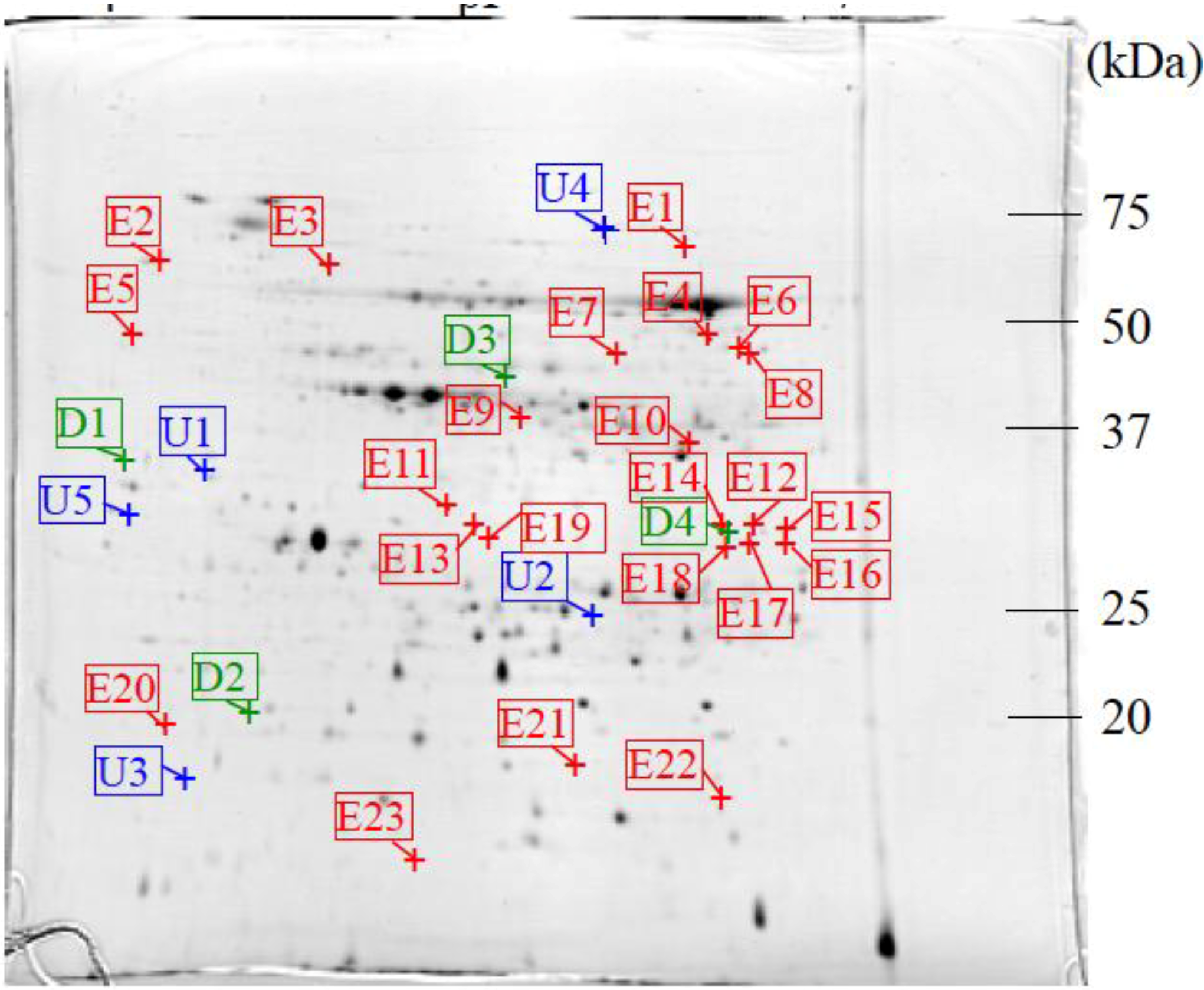Proteomes 02 00323 g005