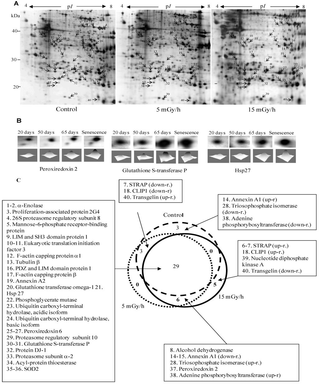 Proteomes 02 00341 g002 1024