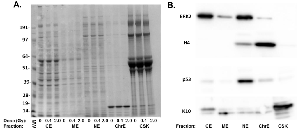 Proteomes 02 00382 g001 1024