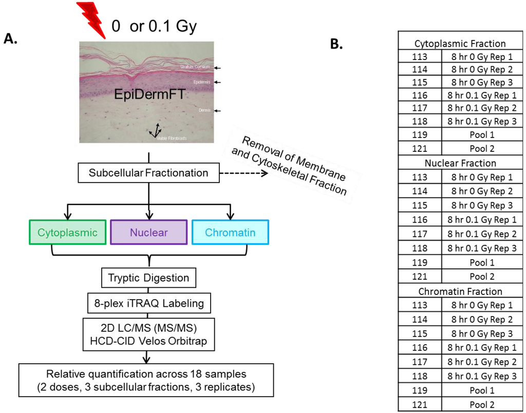 Proteomes 02 00382 g002 1024