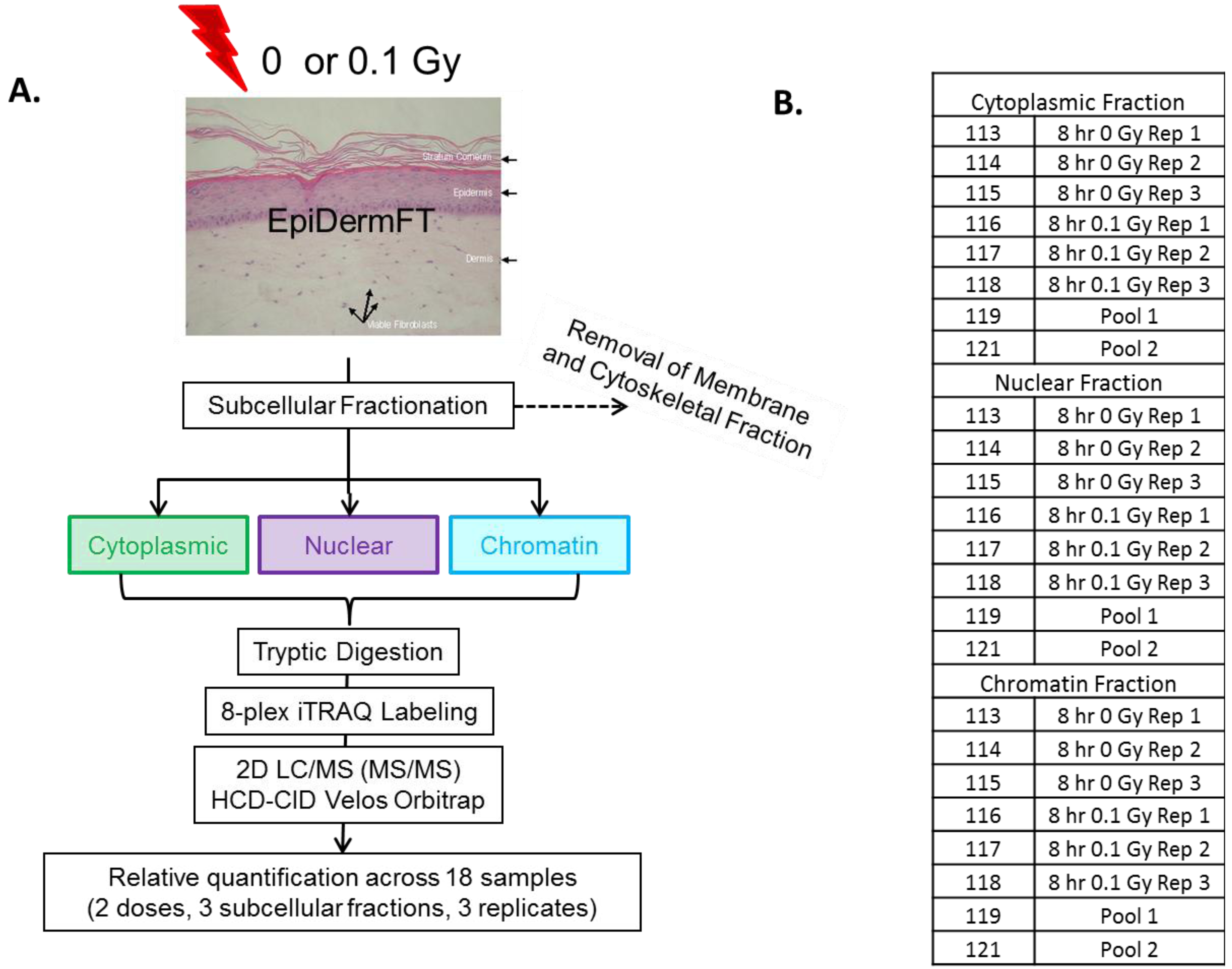 Proteomes 02 00382 g002
